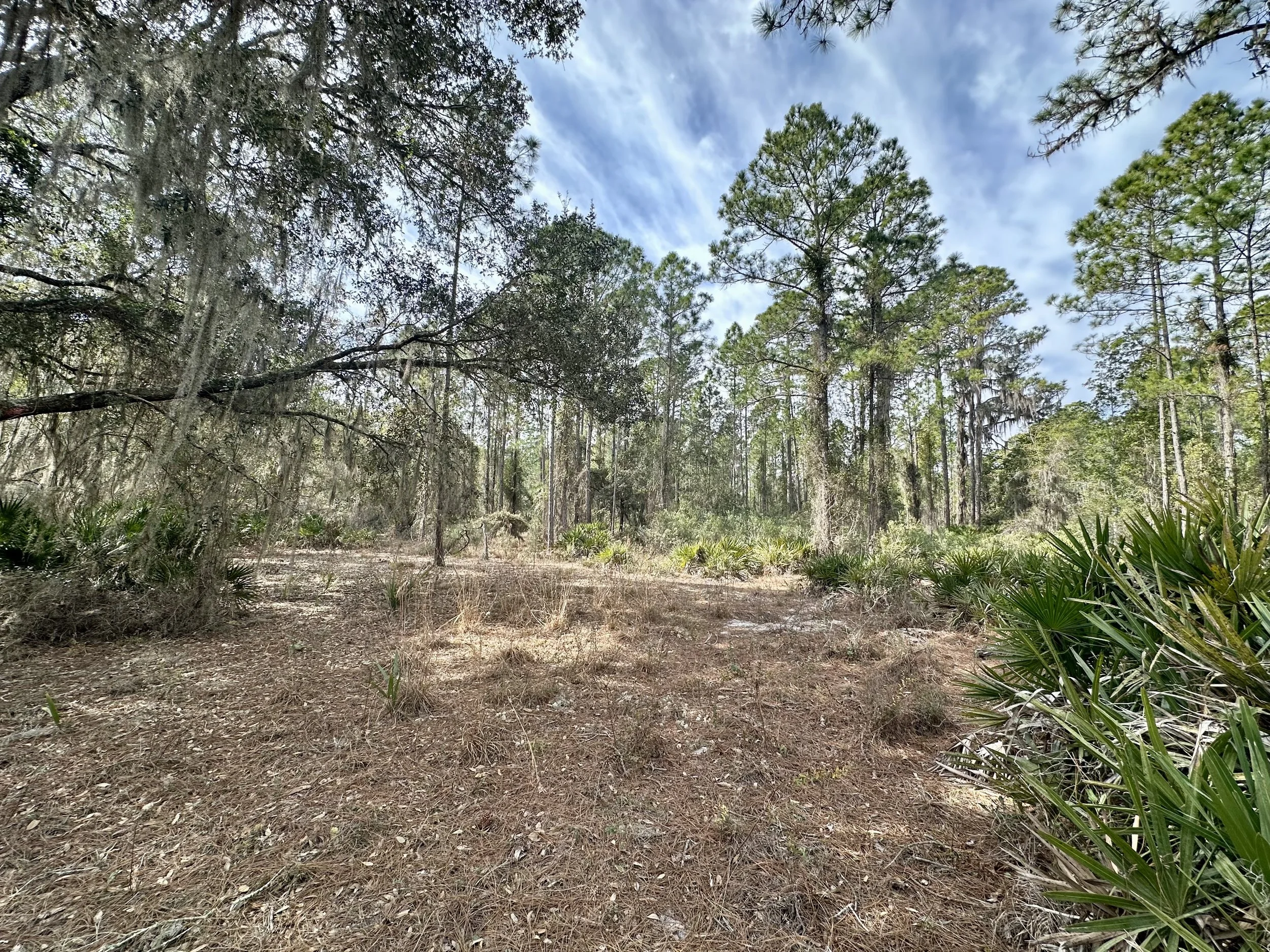 $20,000 l 225 Marie Avenue, Georgetown, FL 32139