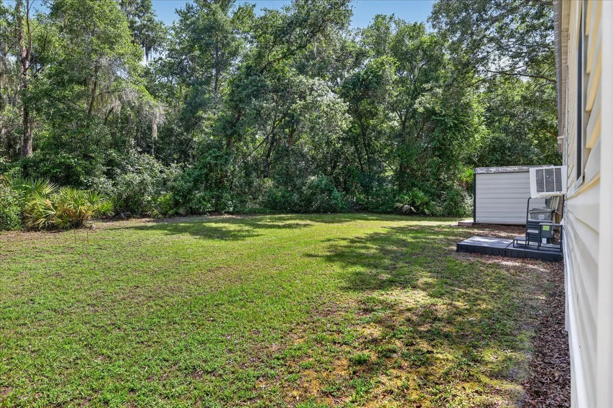 28-101- Backyard.jpg