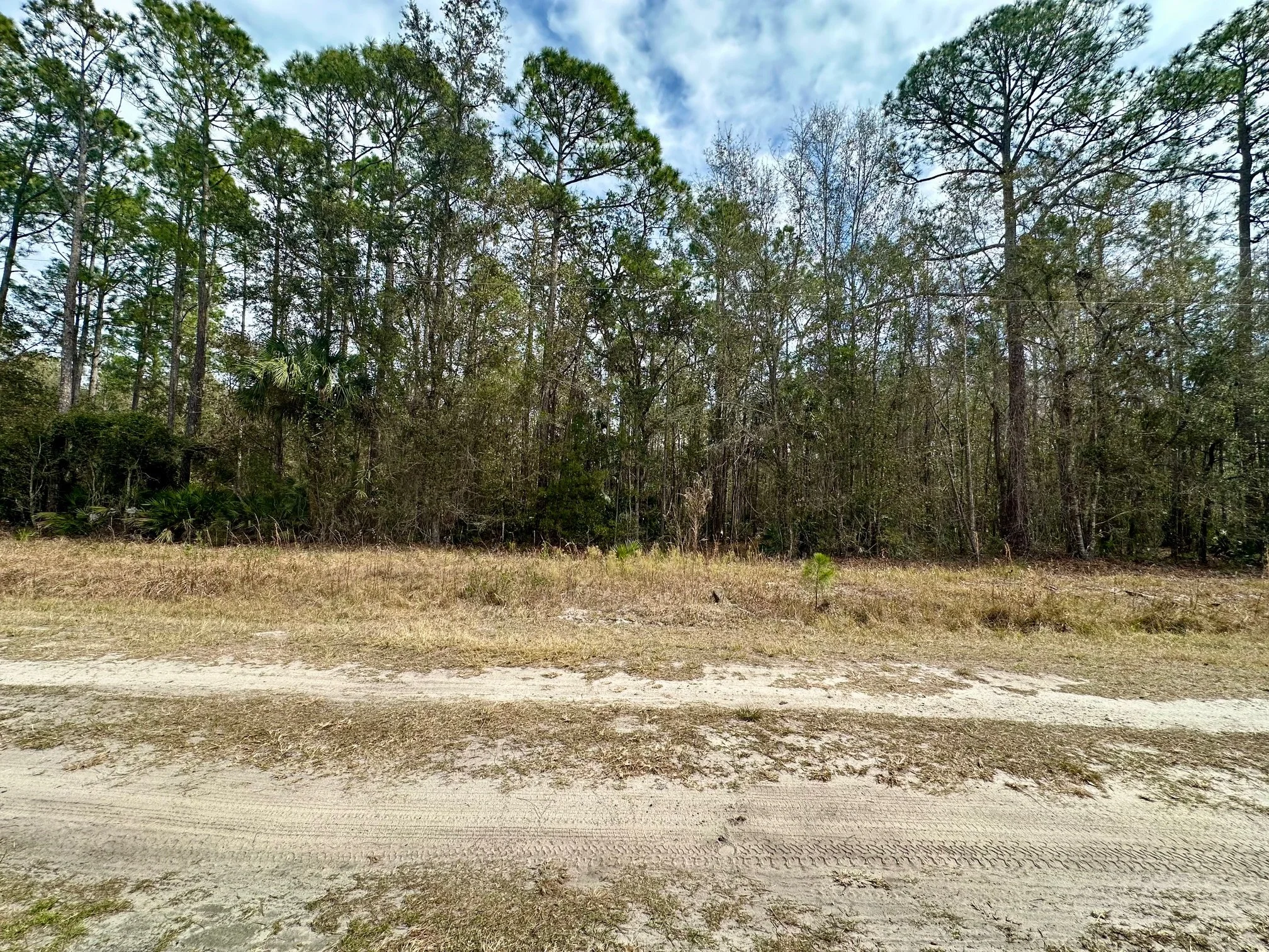 $29,000 l 304 Lakeshore Drive, Georgetown, FL 32139