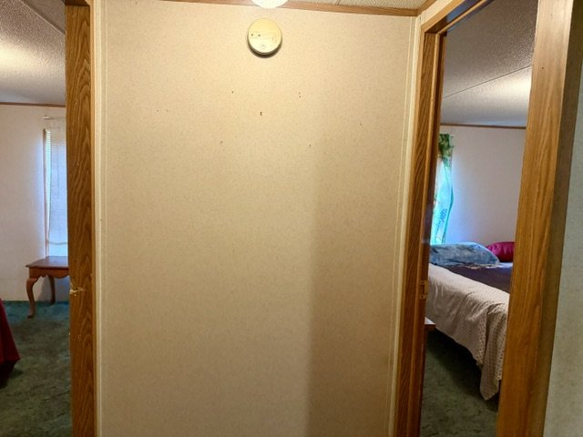IMG_1806.jpeg