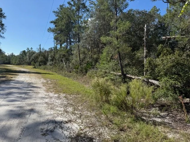 $23,000 l 113 OCALA Drive, Georgetown, FL 32139