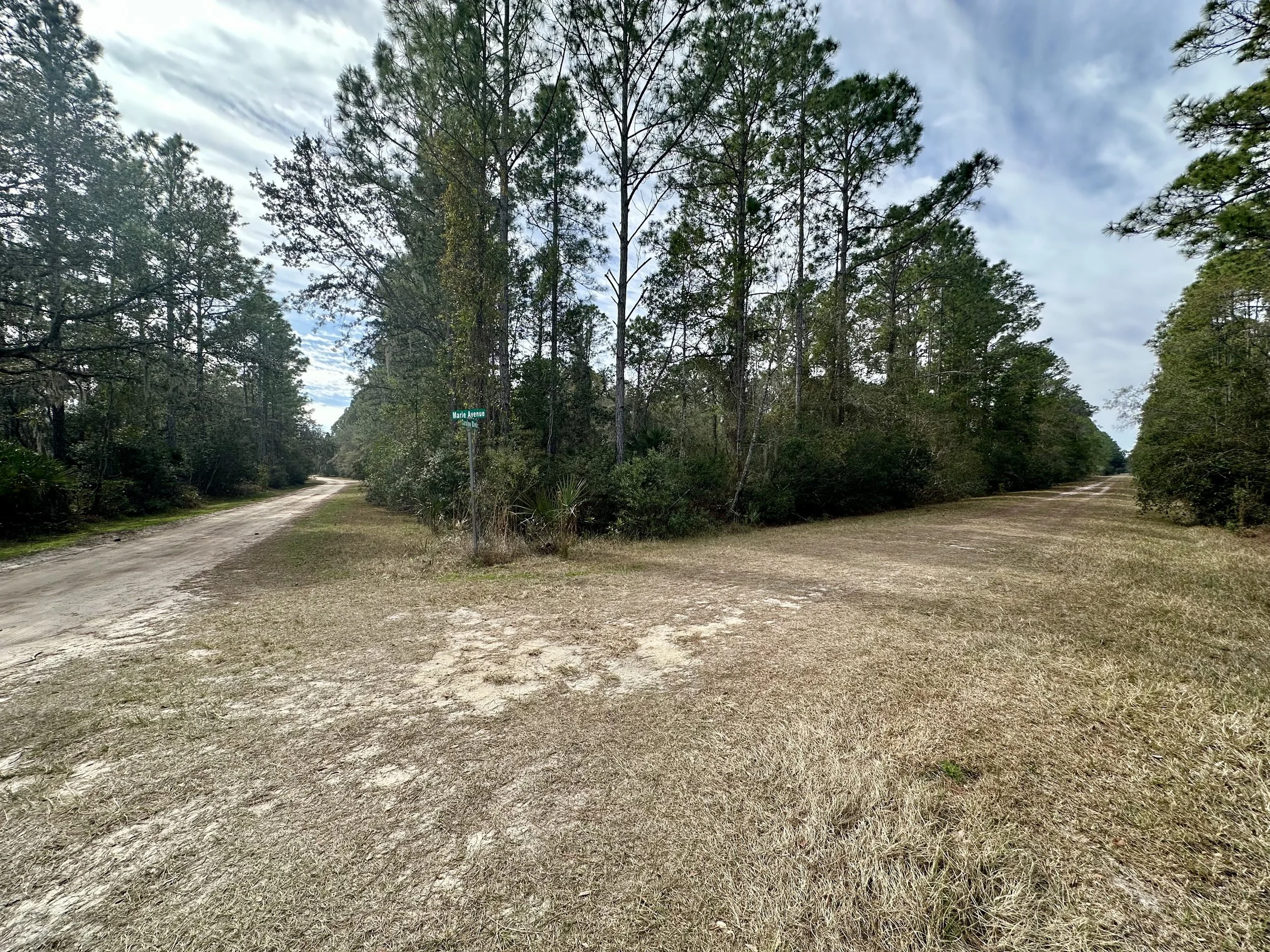 $22,000 l 233 Marie Avenue, Georgetown, FL 32139