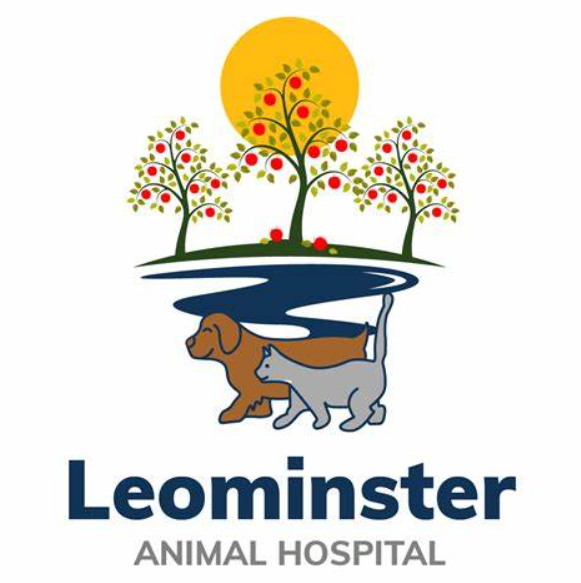 Sponsors Fitchburg Friends Of Felines