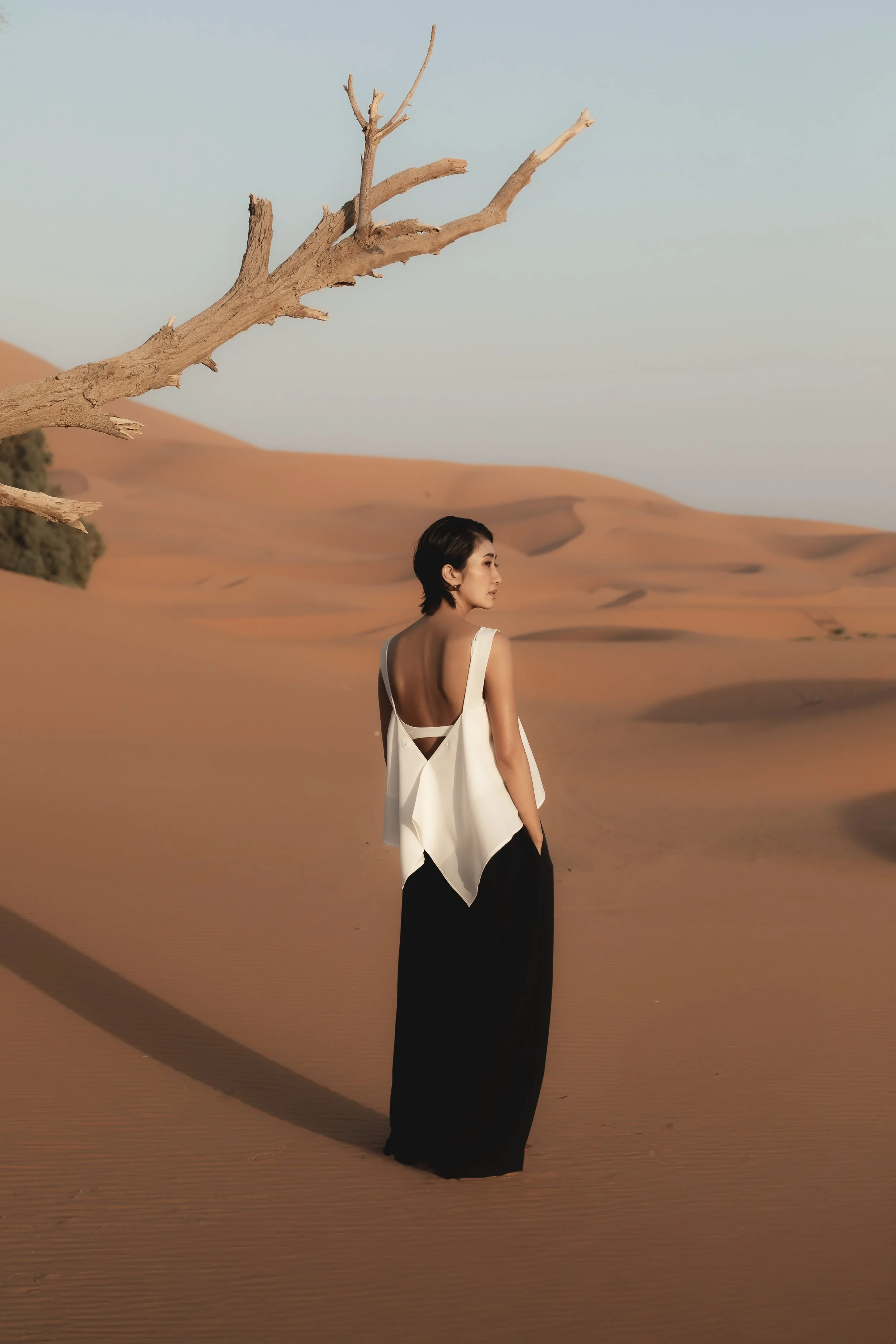 Nala-123 2.jpg