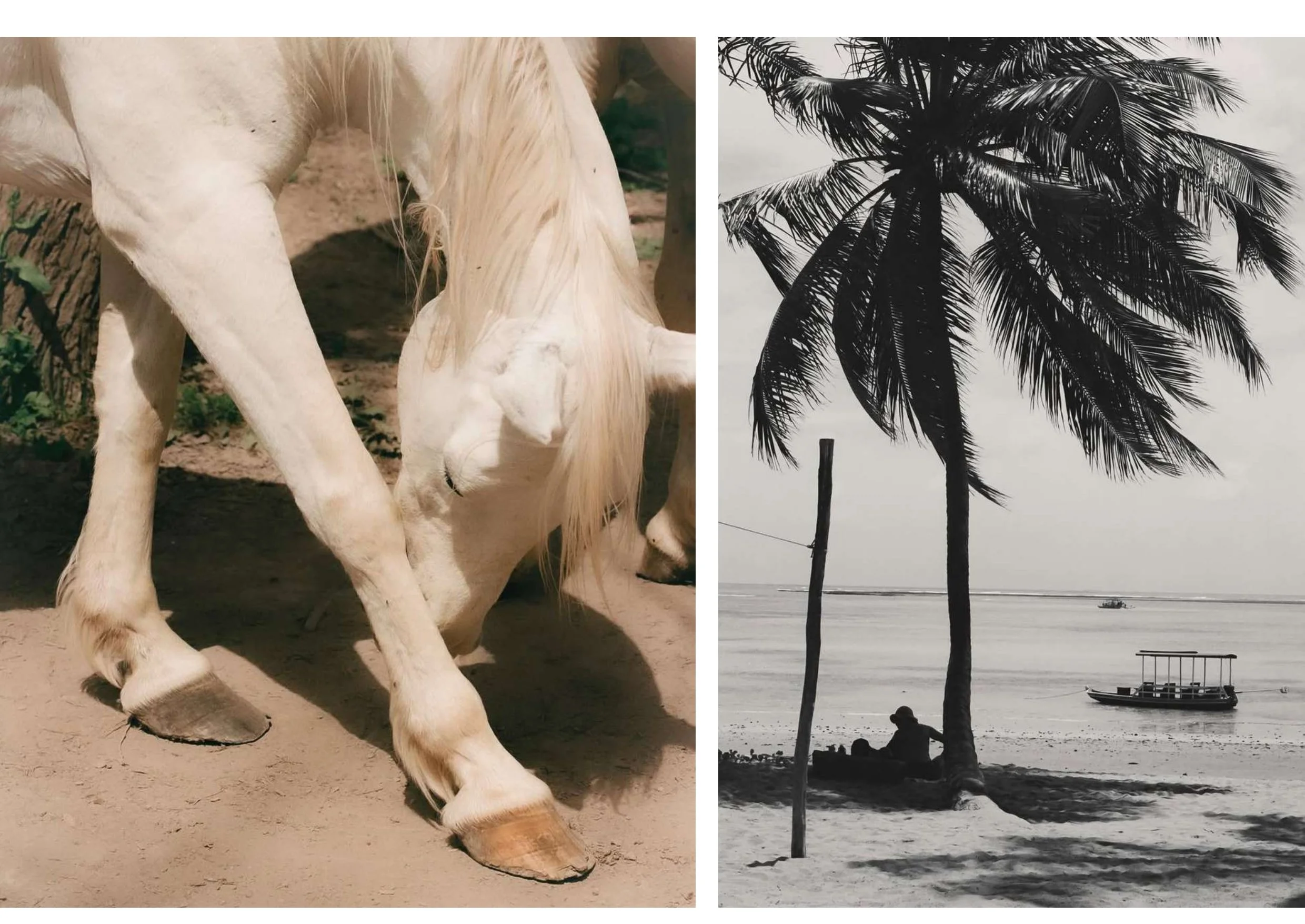 Barbara Brasil - Portfolio_pages-to-jpg-0042.jpg