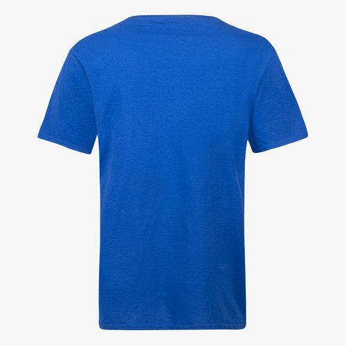 Blue Back.jpg