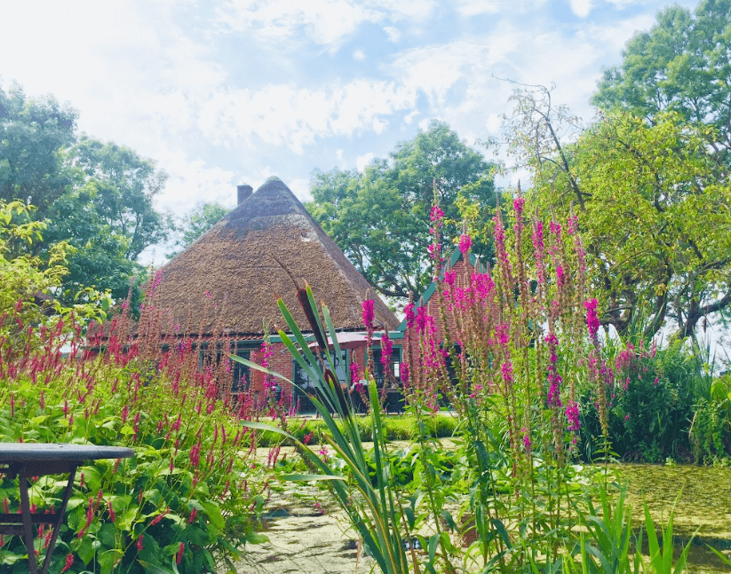 Nature Retreat -Navigating grief and loss