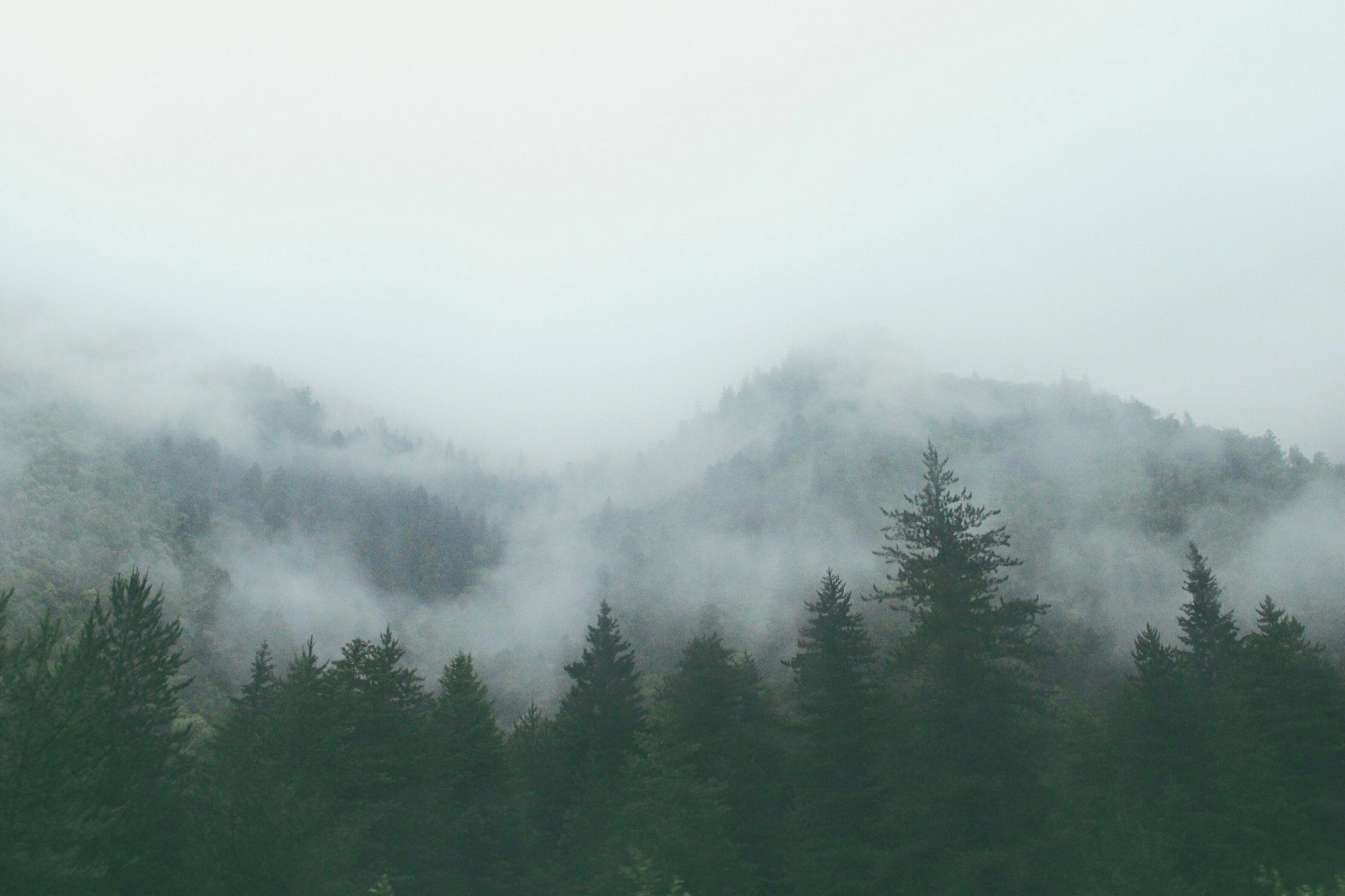 Feeling Lost? Use This 5-Point Compass to Take Back Control of Your Business