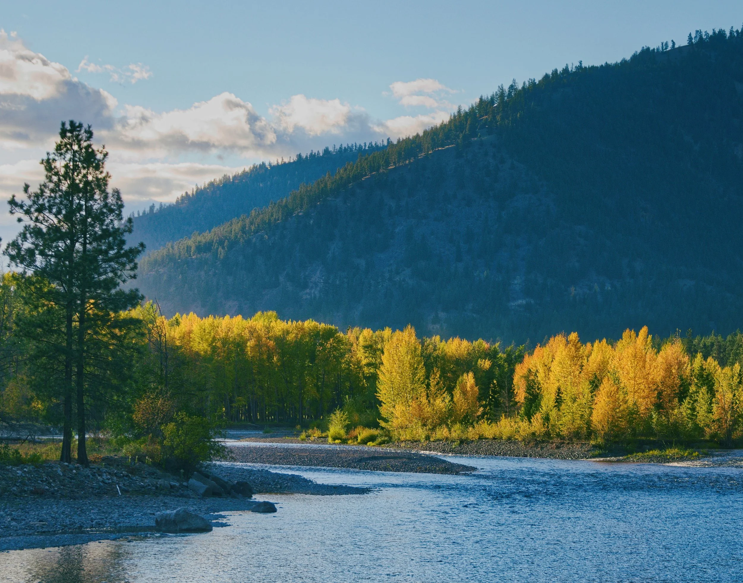 November's Emotional Whiplash - Why leaders feel "fine" and freaked out at the same time.&nbsp;