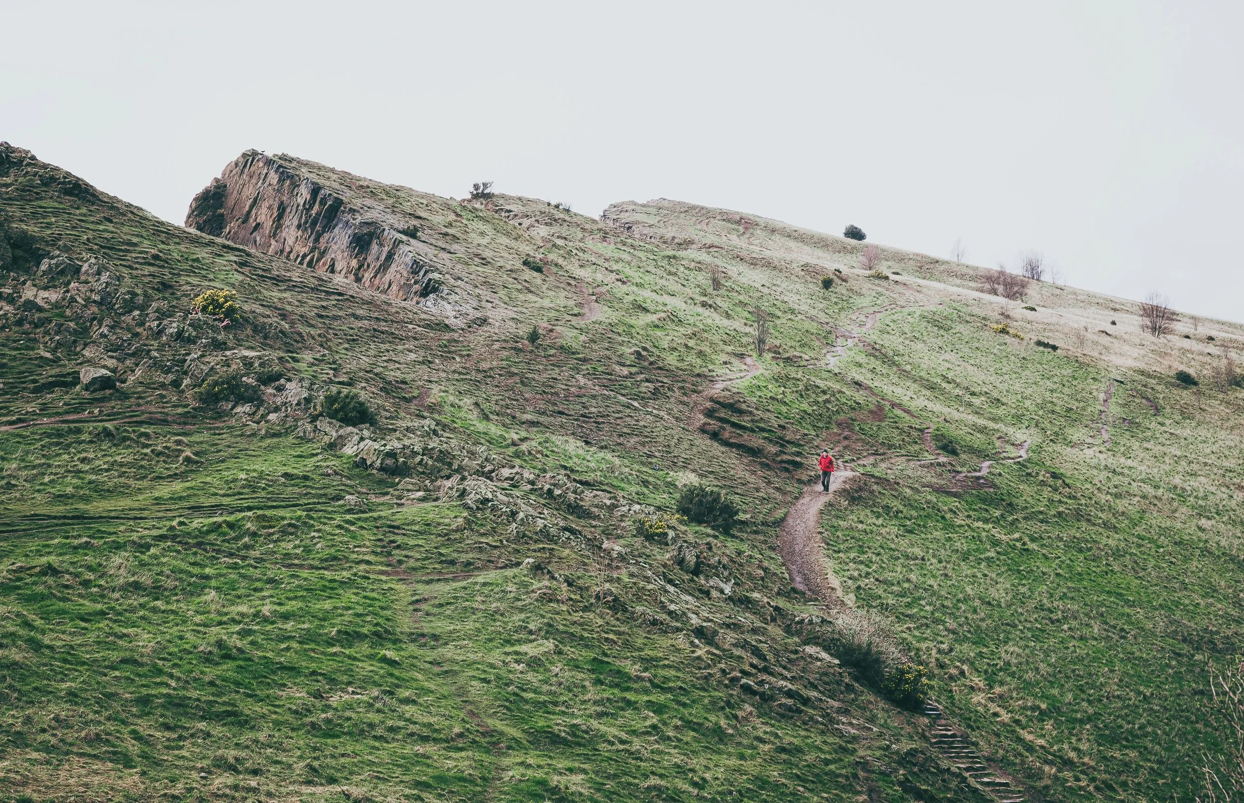 Let It Break. Let It Orient. What’s Coming Next