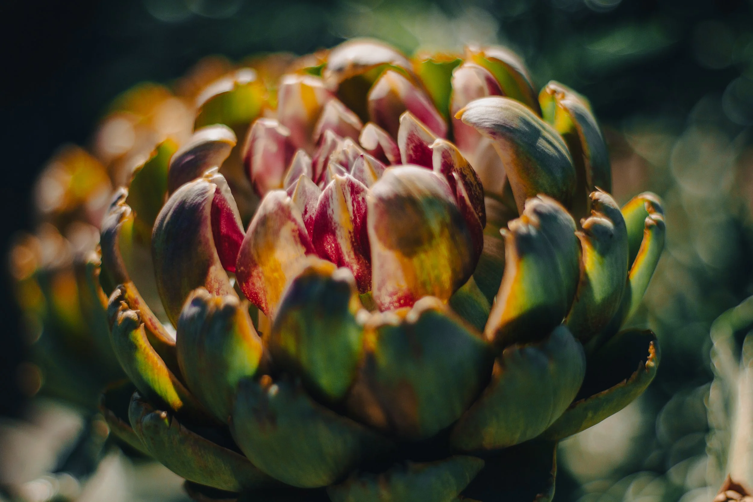 The Rhumb Line Course