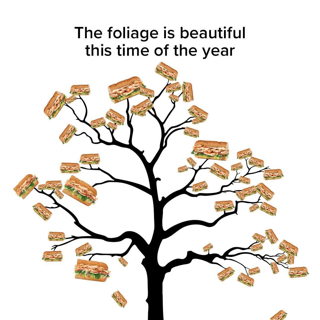 Ahh, harvest season with @subway! 🍁

#shopyourcommunity #shopeatplay #sunsetesplanade #subway #fallfoliage #fall