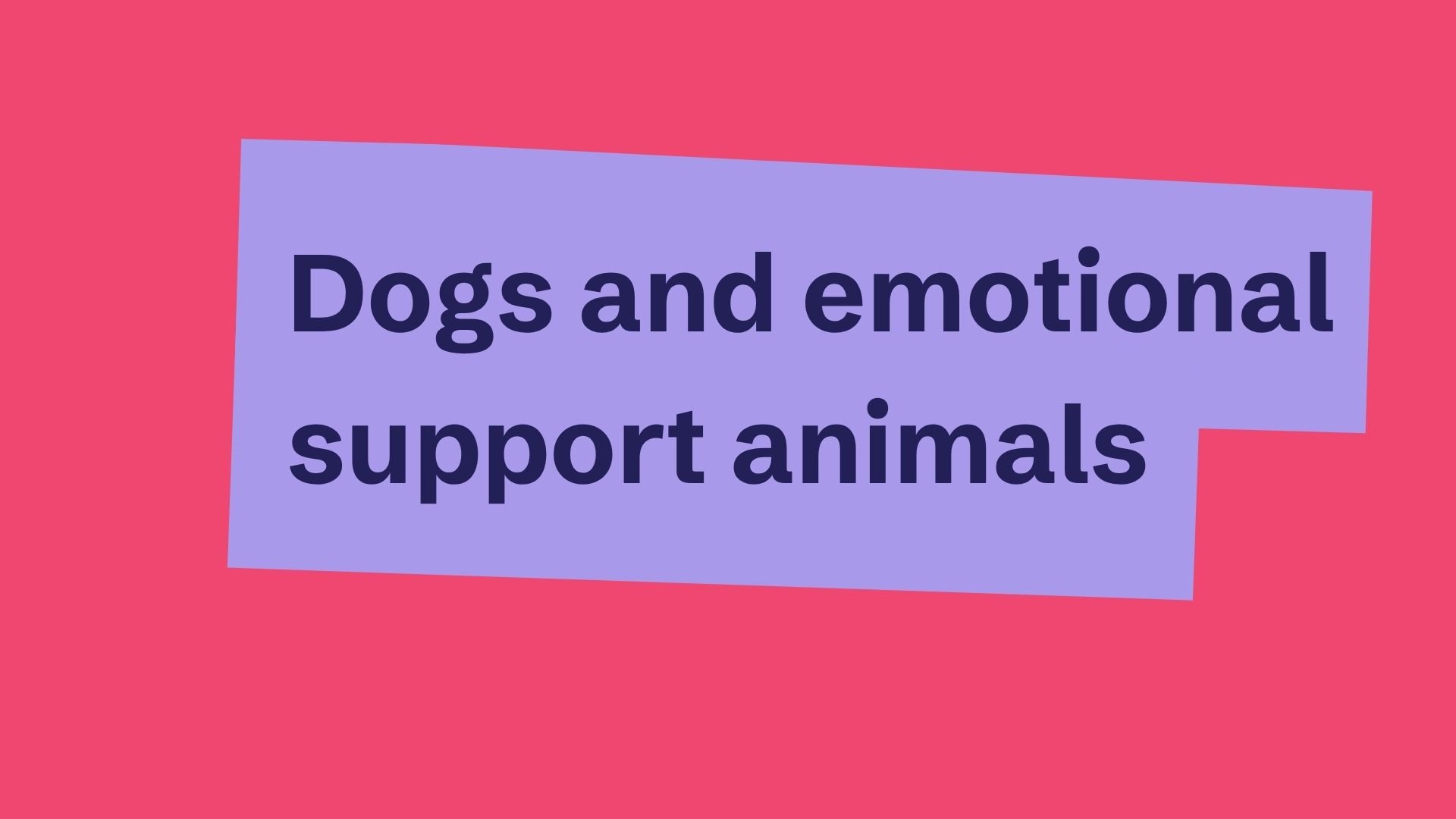 Dogs and emotional support animals