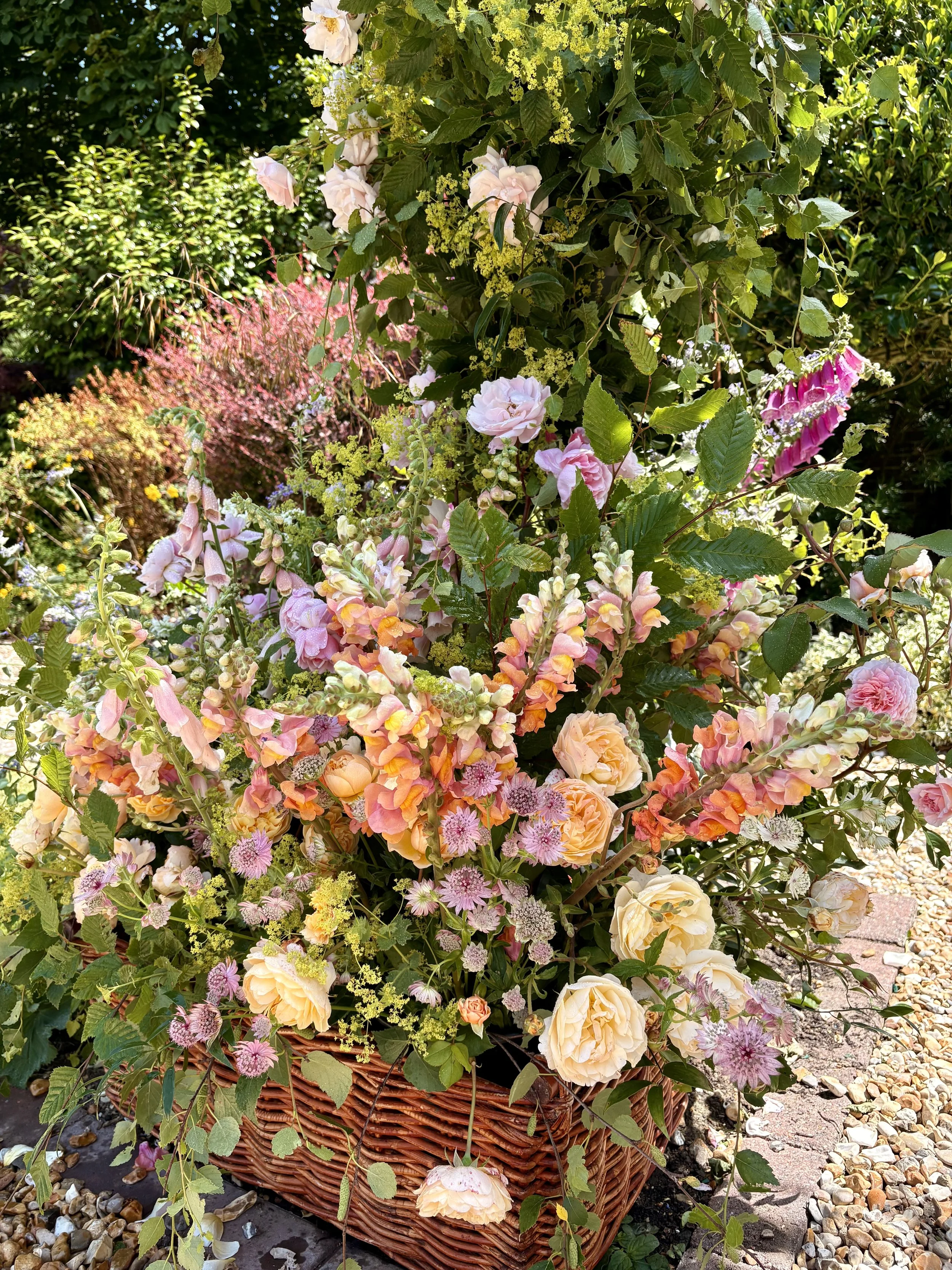 A basket filled with various pink, orange, and cream flowers, placed outdoors among green foliage and on a brick path.