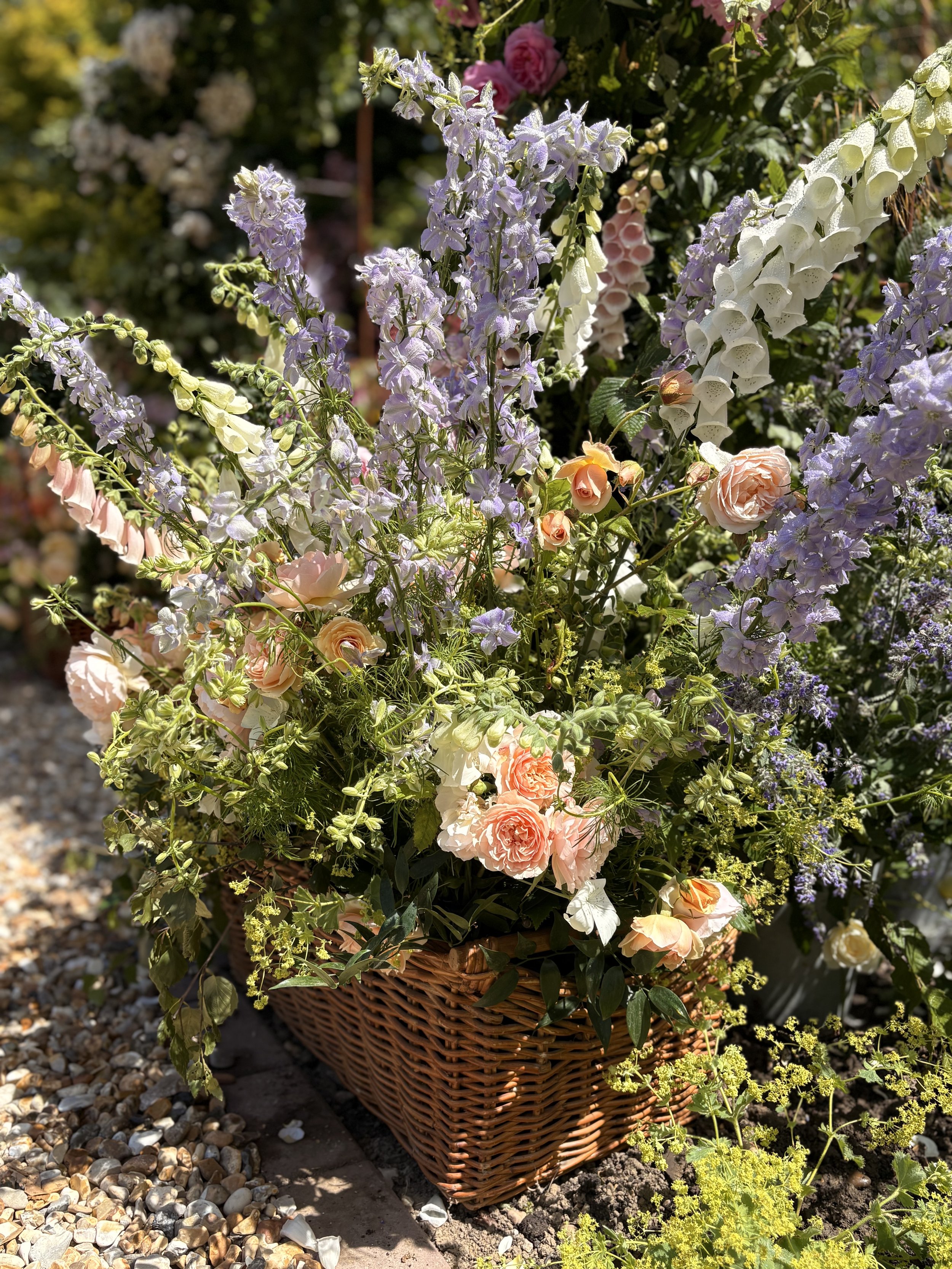 A wicker basket filled with light pink roses and purple delphiniums, surrounded by other flowers in a garden.