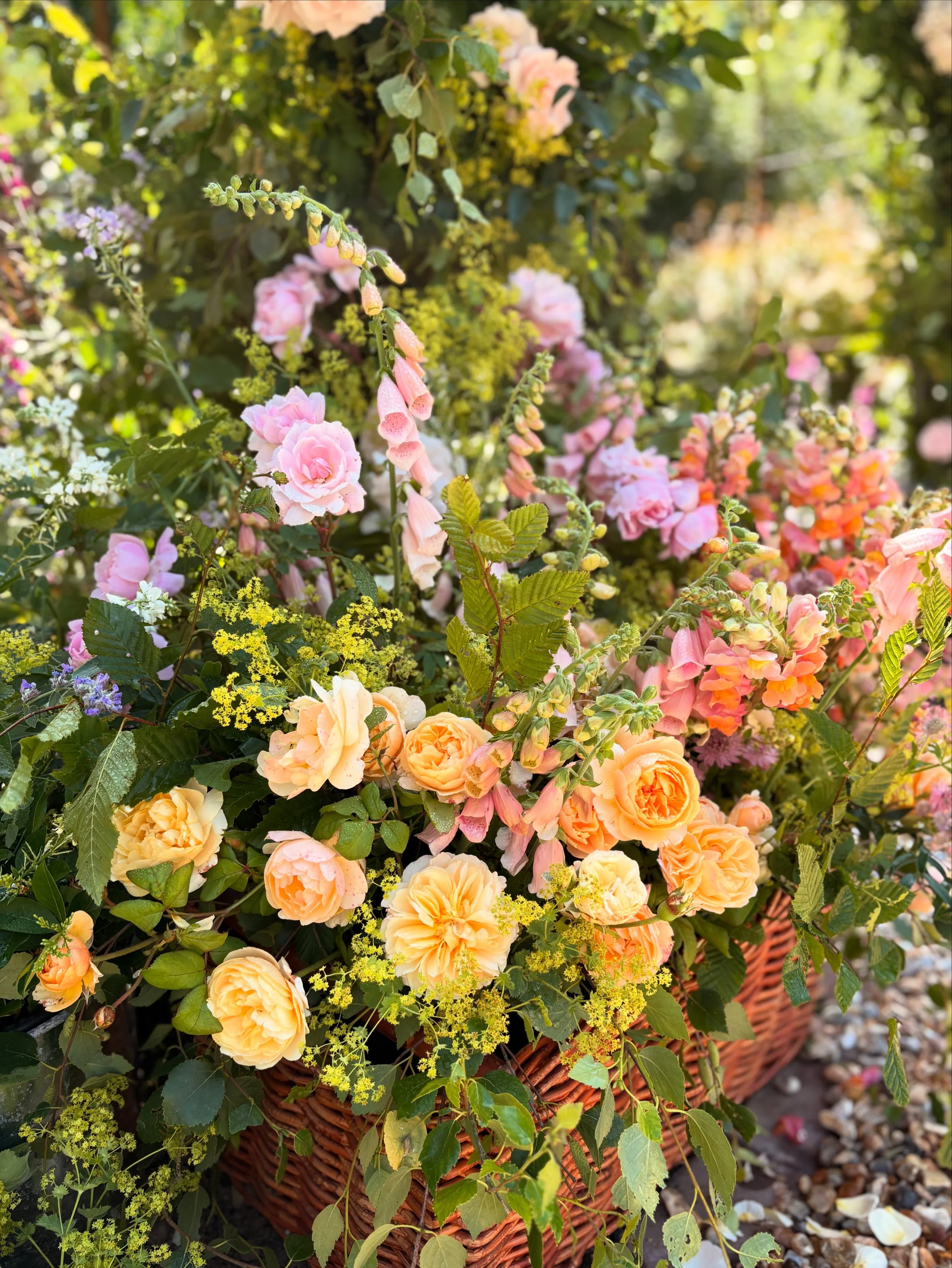 A vibrant basket filled with peach, pink, and yellow roses, surrounded by greenery and small yellow flowers, set outdoors with sunlight. The base of a wedding arch.