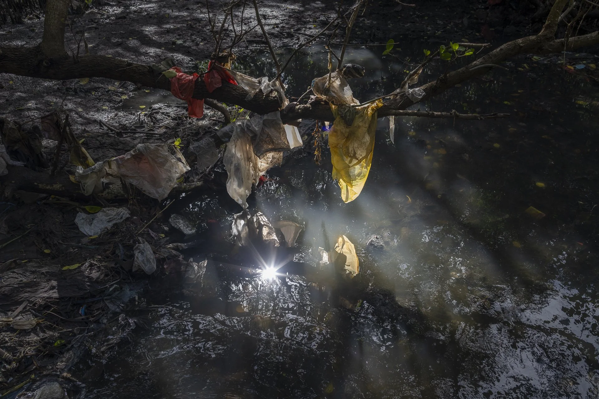 Where Plastic Sleeps