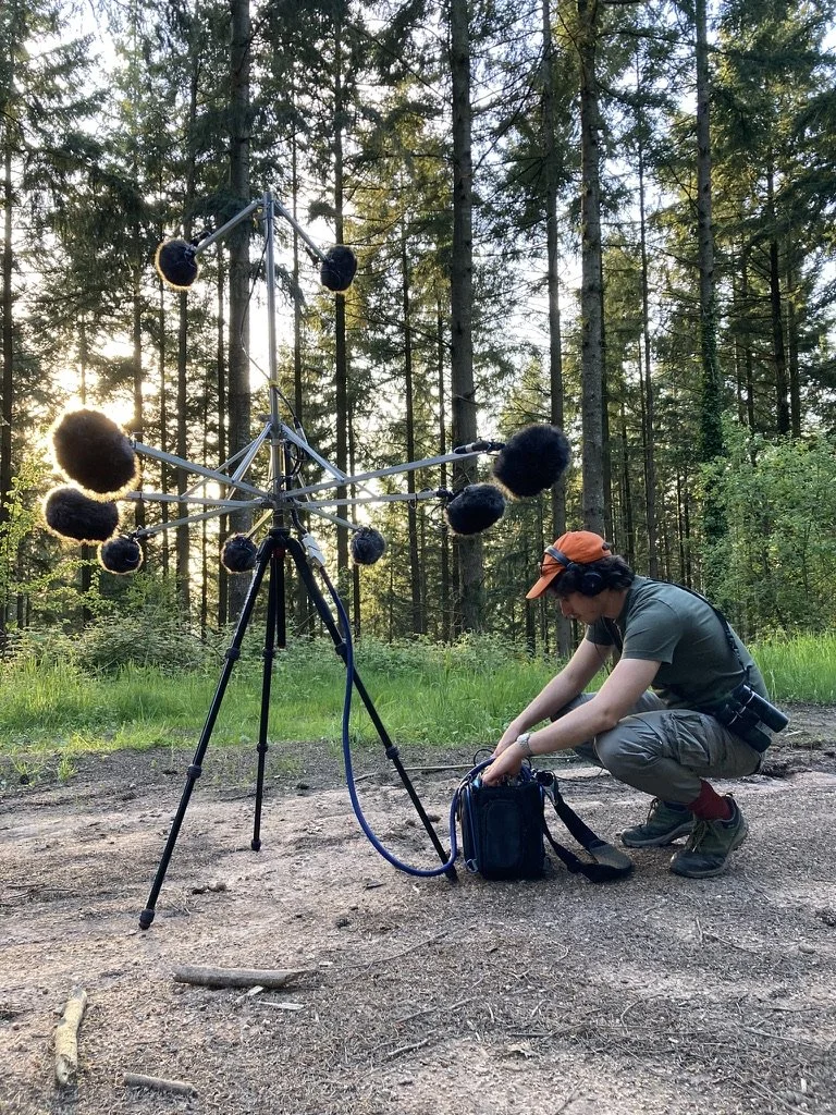 forest atmos greg morvan.jpeg