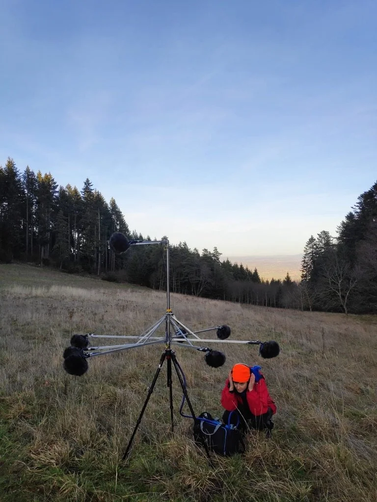 winter atmos thel.jpeg