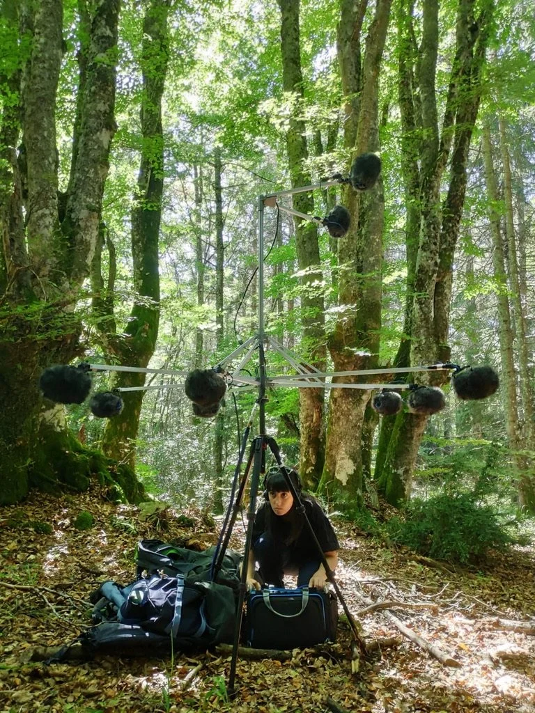 forest atmos melia.jpeg