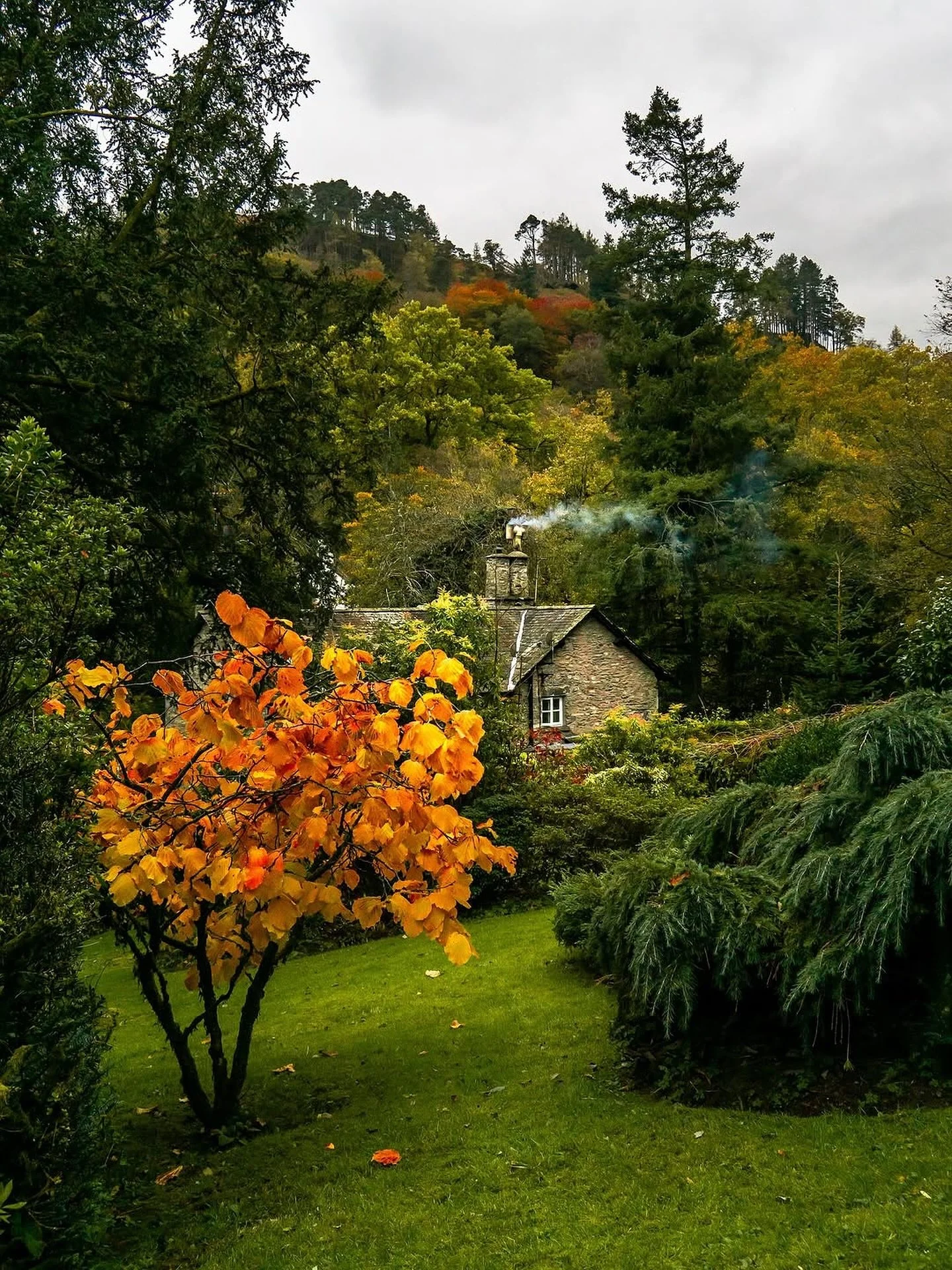 Autumn colours in Rydal, Lake District🍁🌿
Thank you for the beautiful photo @smithycottagegrasmere