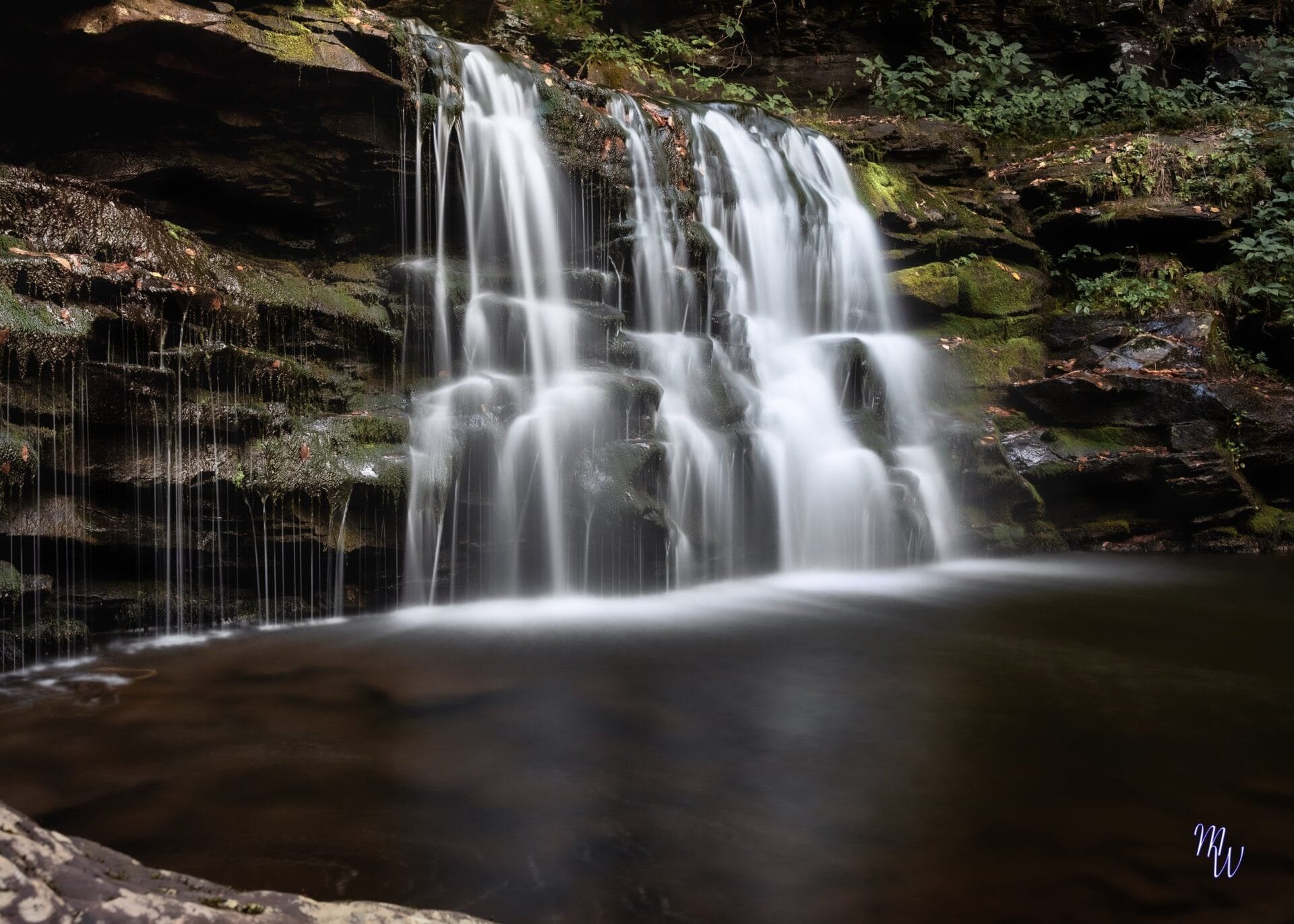 Ricketts Glen State Park: The Best Hike In Pennsylvania?