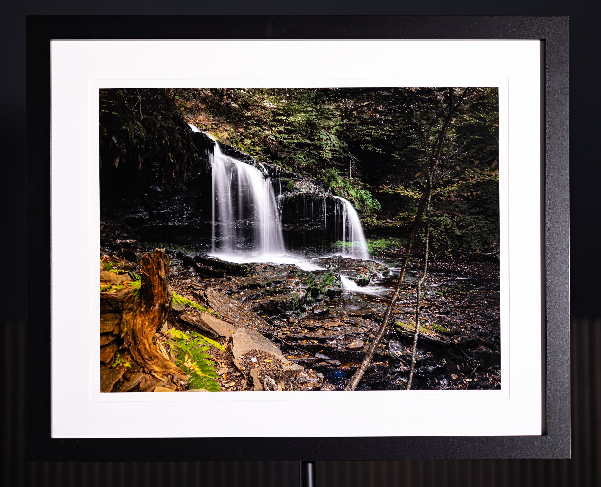 Ricketts Glen State Park.jpeg