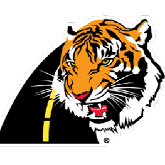 Close-up of a tiger's face with a black background.