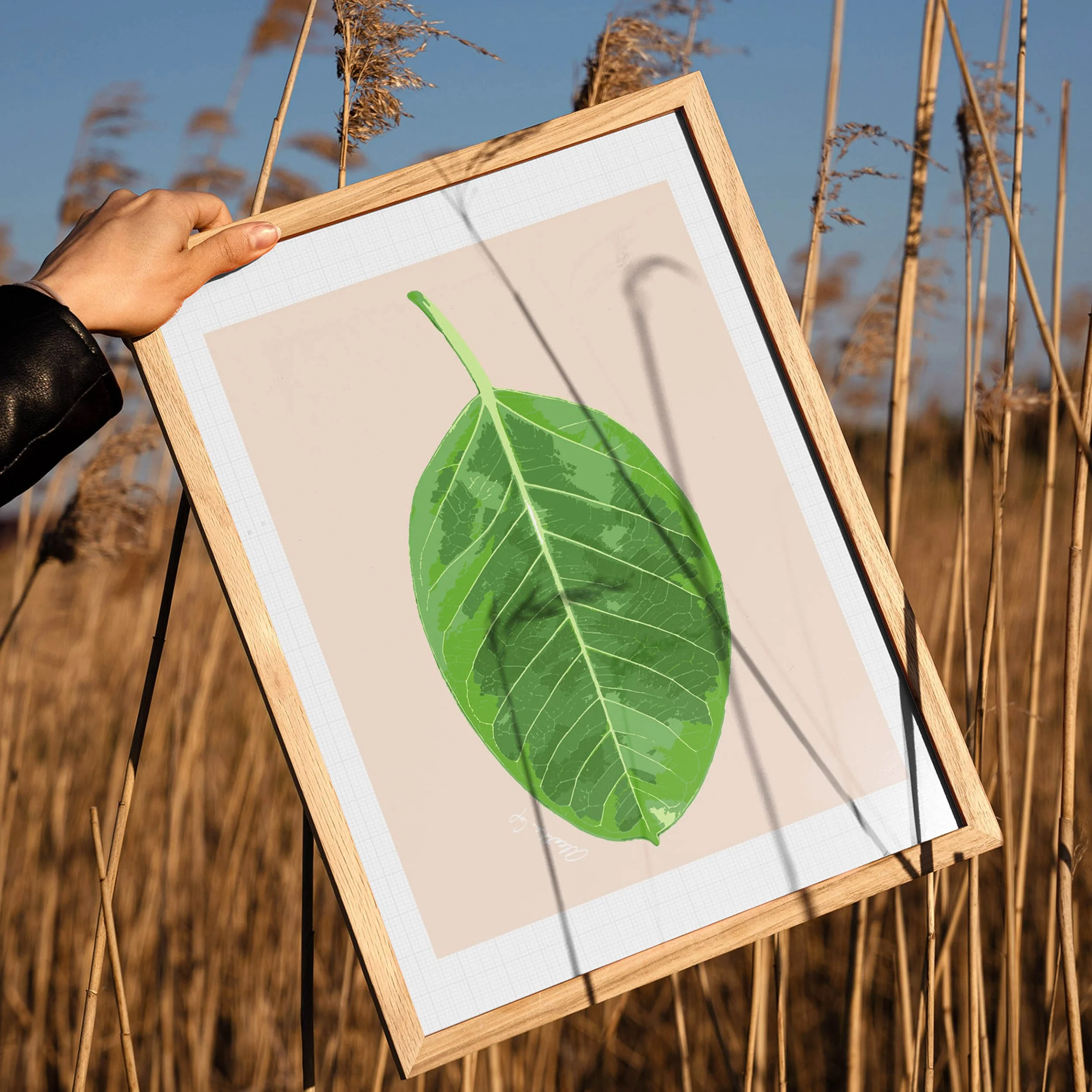 Website_Ficus Poster Aleatha Cox.jpg