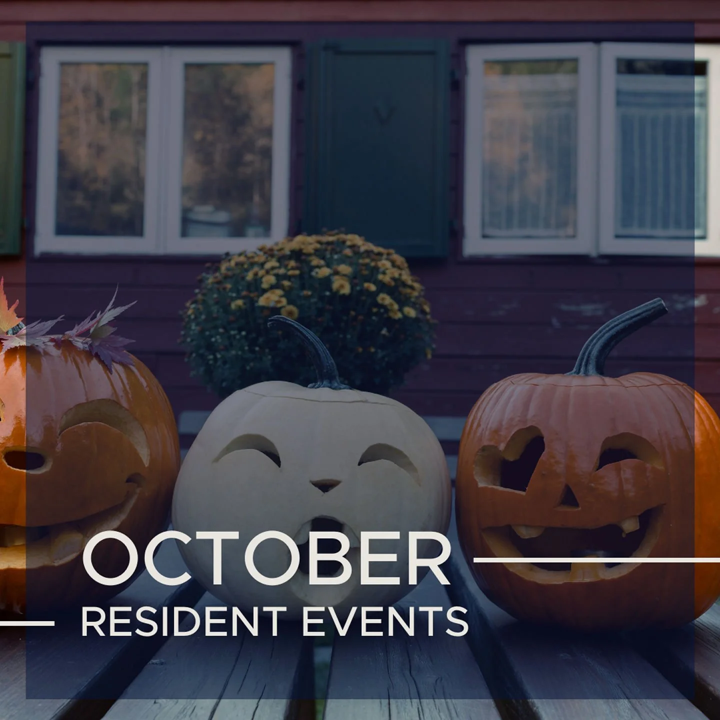 Check Out Our October Events!