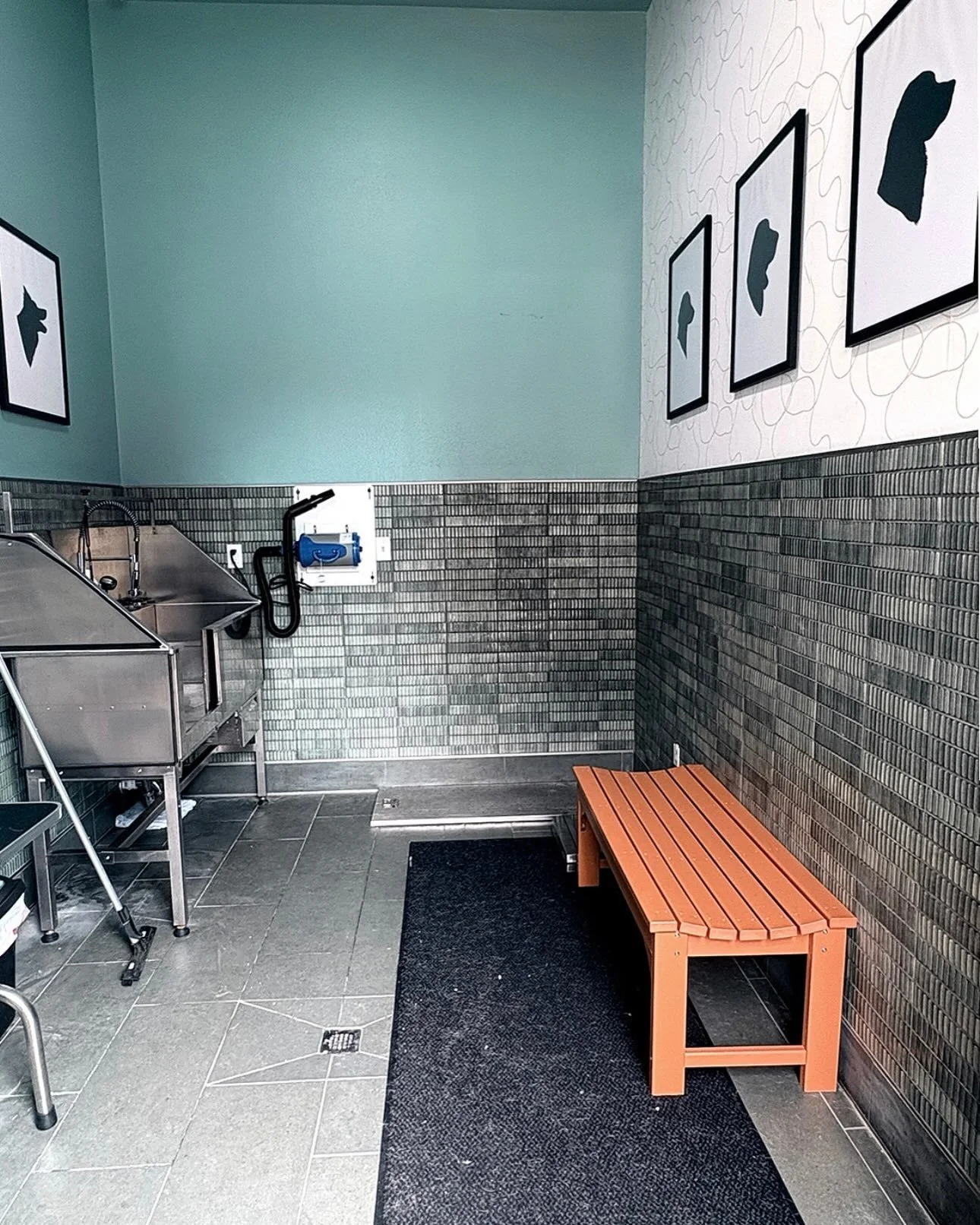 🐾 Life at Devonshire Apartments just got a little more pawsome! 🐾

Looking for a place that feels like home for you AND your furry friend? 🏡🐶 Come discover Devonshire Apartments in Greenwood, Indiana! Our community features a convenient Dog Wash 