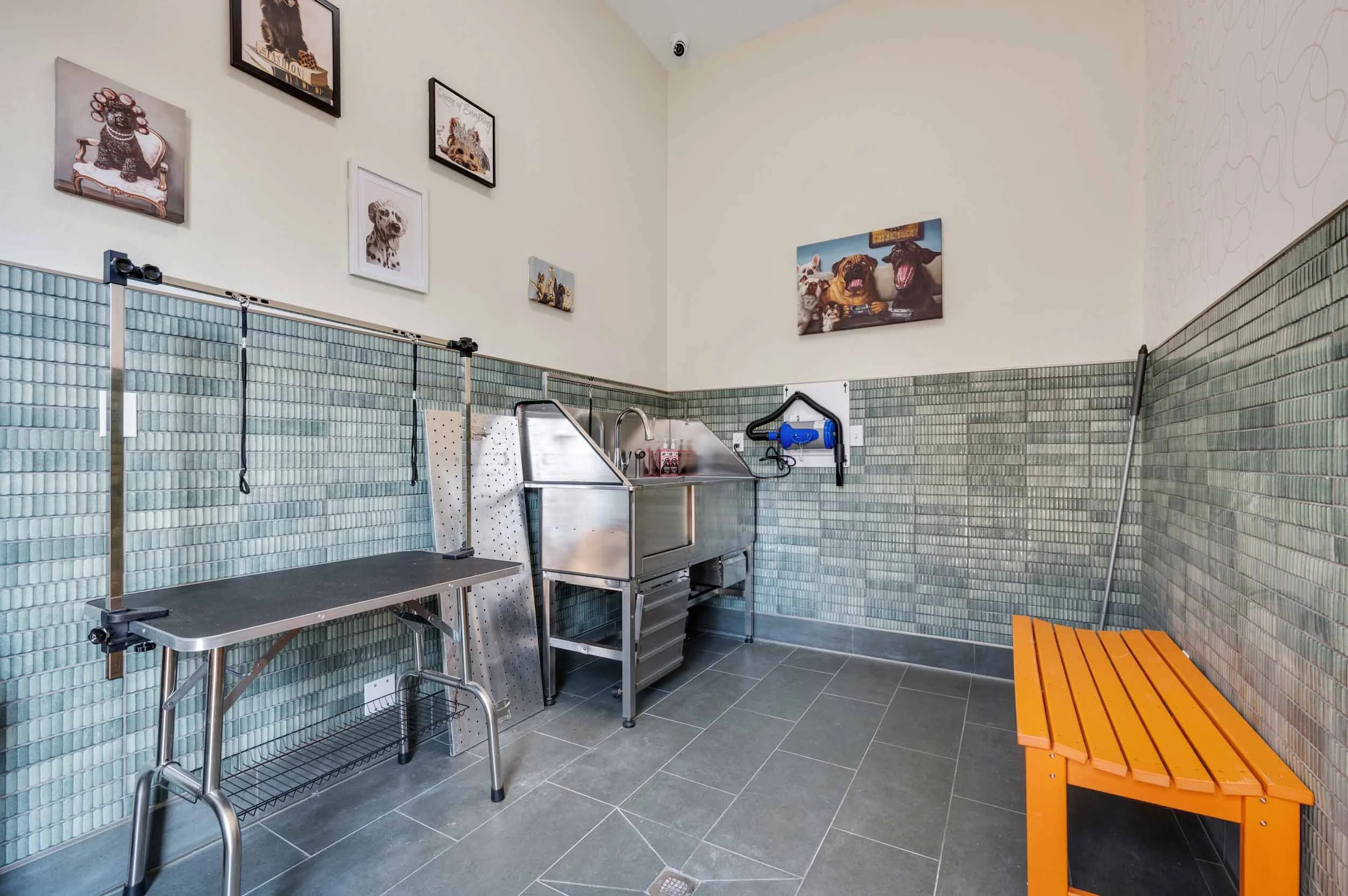 Devonshire Apartments in Greenwood, IN | Dog Wash Station