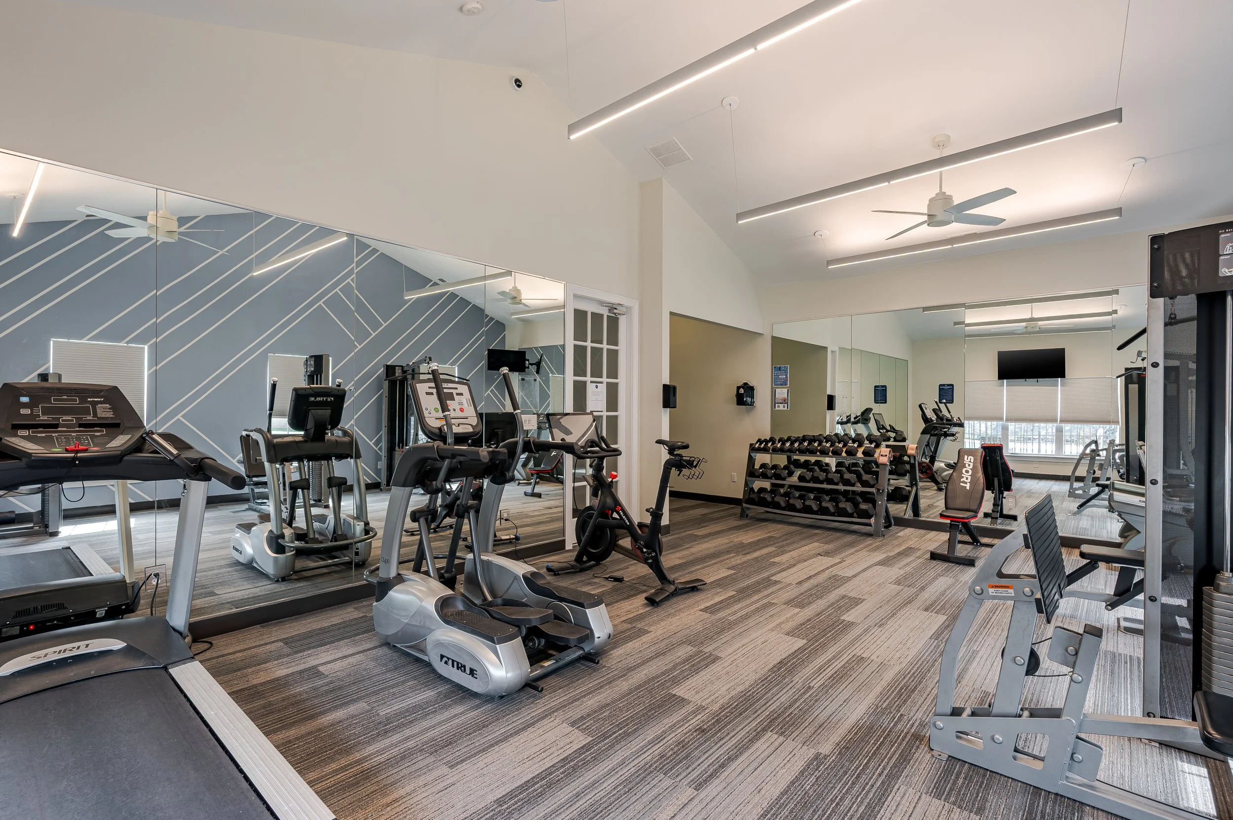 A modern gym with exercise machines including treadmills and elliptical trainers, a dumbbell rack, and mirrors on the walls.