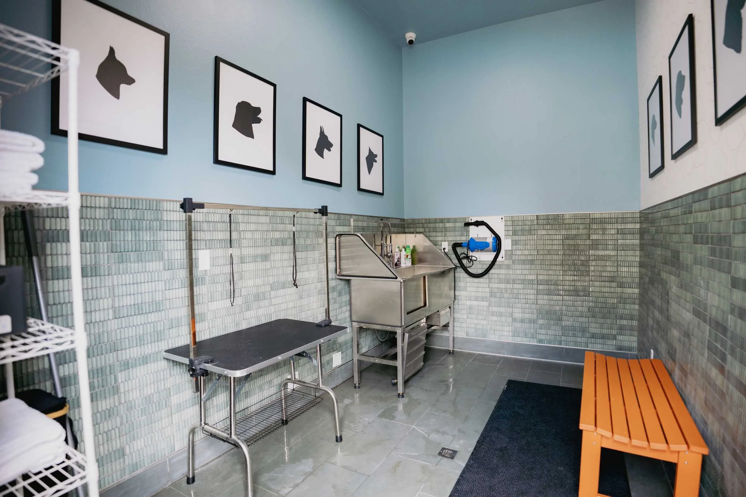 A pet grooming or veterinary treatment room with framed animal silhouette art on the walls, a stainless steel water tub with grooming supplies, a grooming table, and a wooden bench, all with tiled and painted walls.