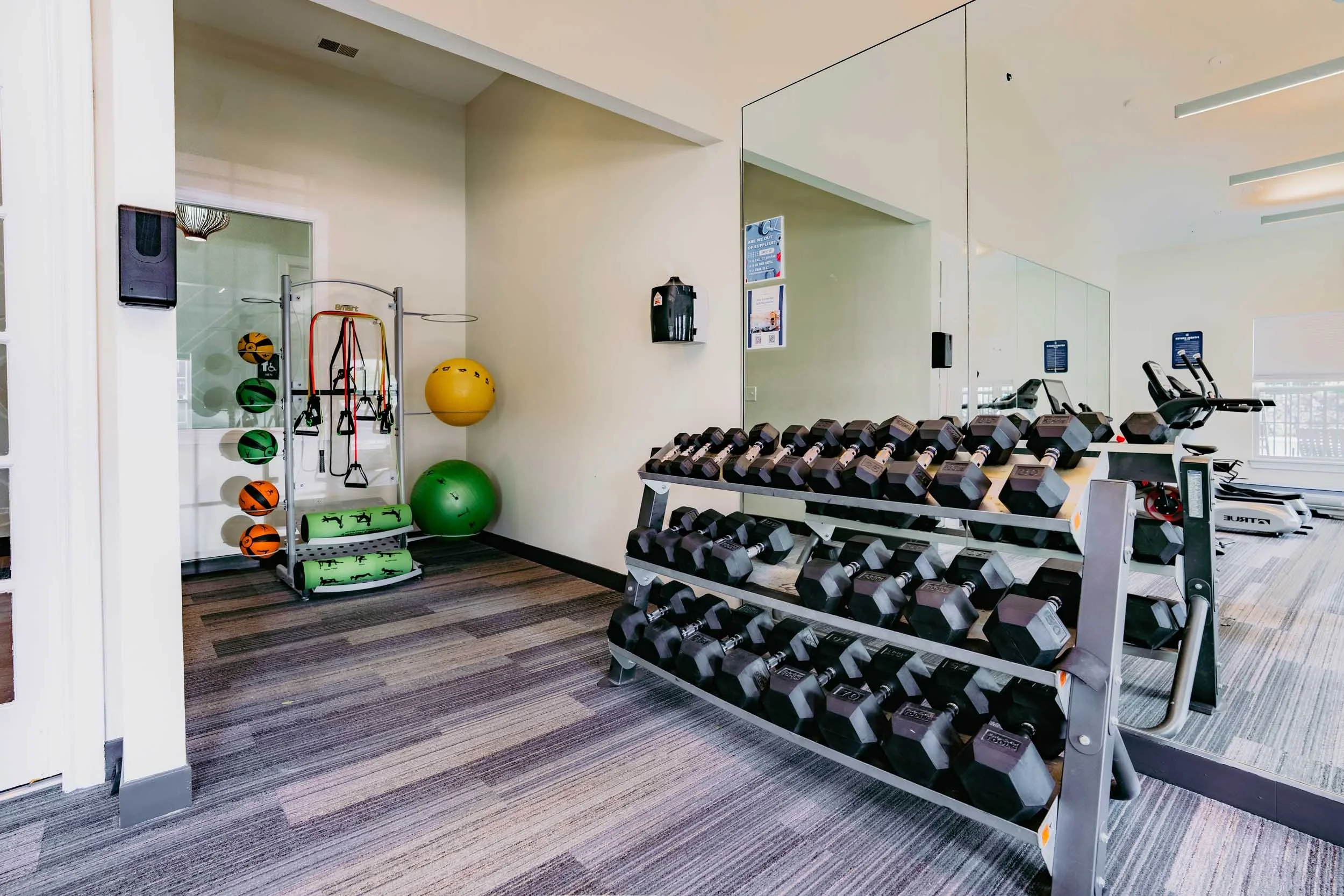 A gym with dumbbells on a rack, colorful medicine balls on the left, and exercise equipment in the background, with a large mirror on the wall.
