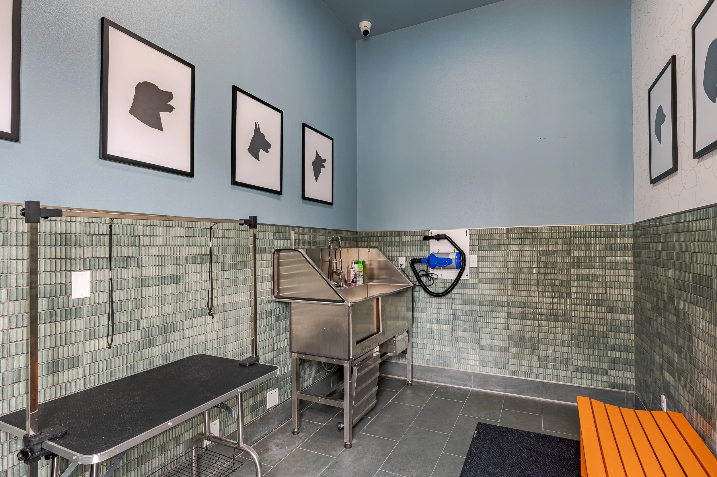 Indoor pet care or grooming area with framed animal silhouette artwork on light blue walls, stainless steel sink, grooming table, black rubber mat, and orange bench.