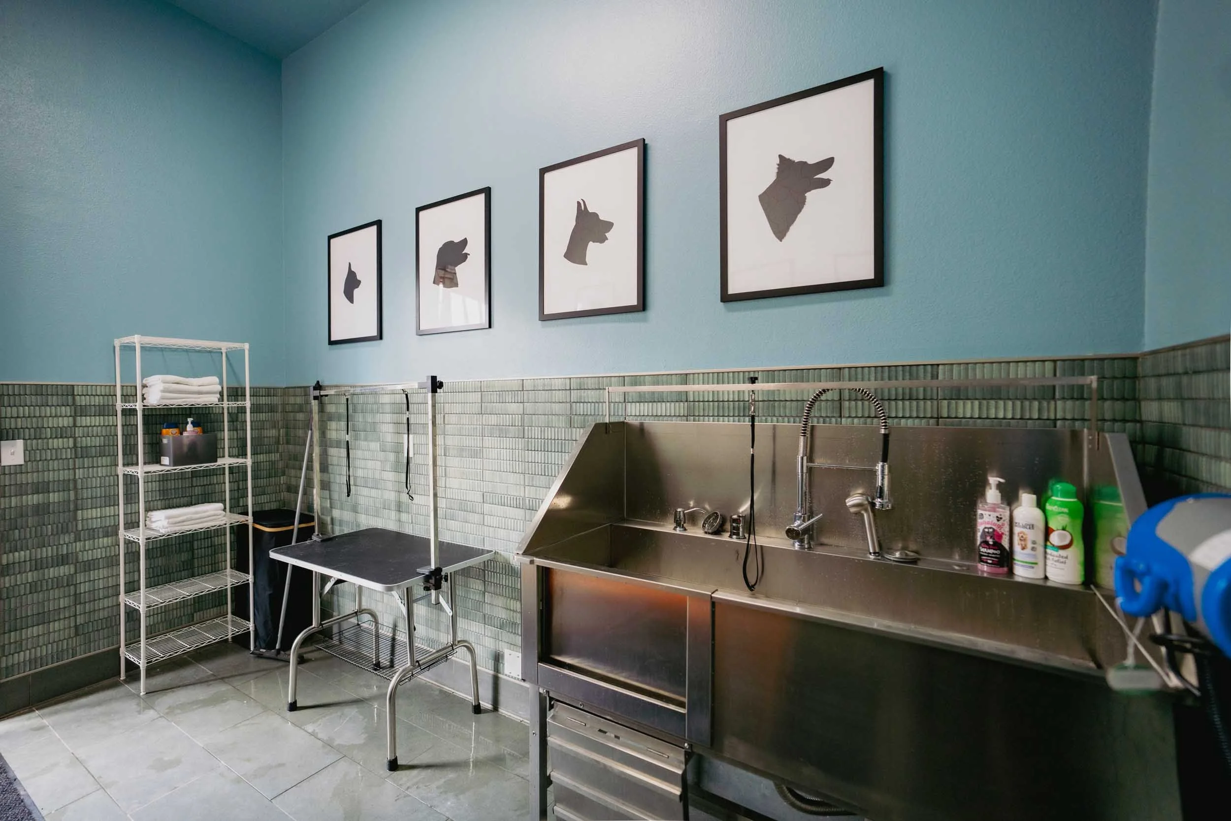 A grooming or pet care station with framed silhouette dog portraits on a light blue wall, a white metal shelf with folded towels, a grooming table, and a stainless steel sink with various bottles and grooming supplies.