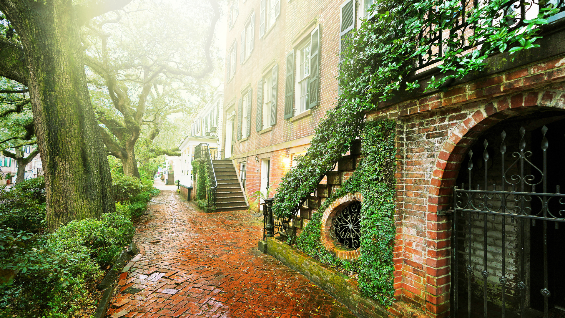 Fall Season in Savannah
