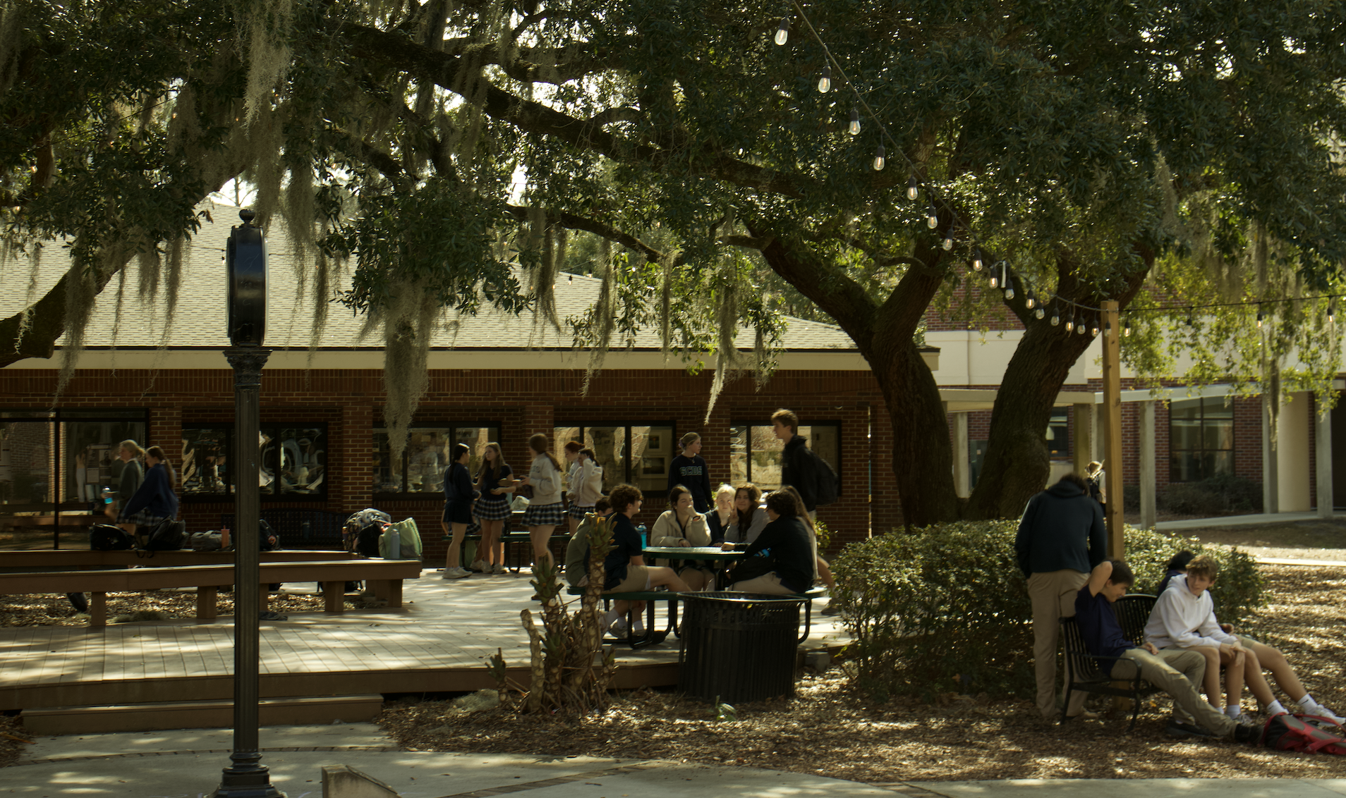 Screenshot 2026-03-11 at 11.47.35 AM.png