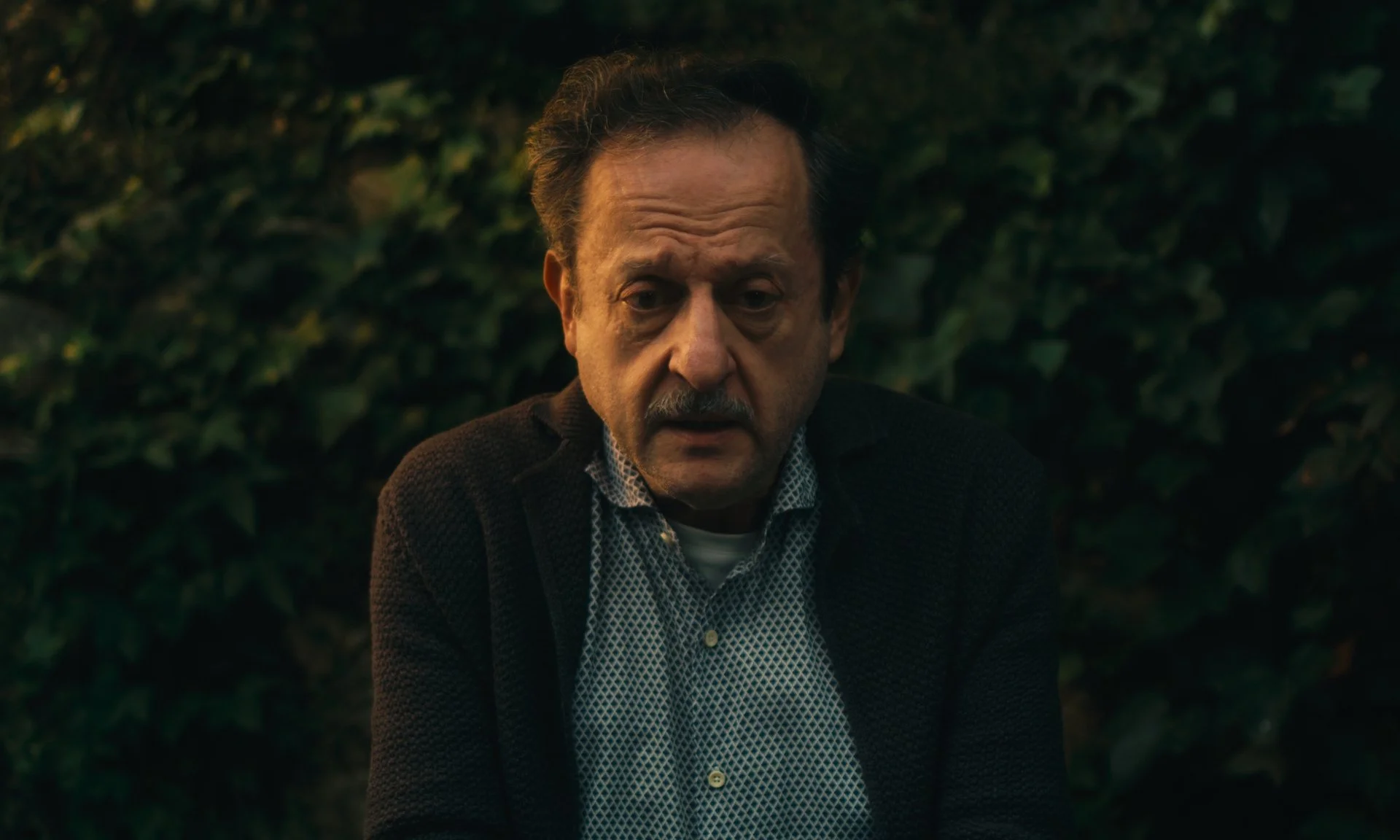 stills taqd web_1.5.1.jpg