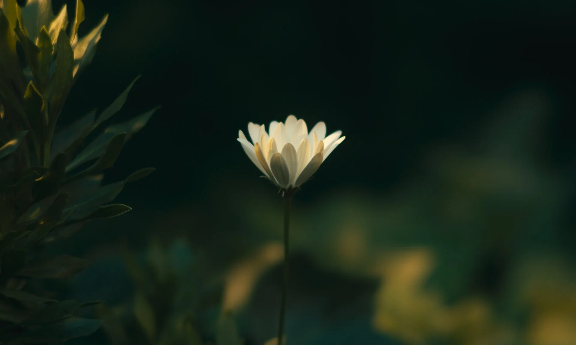 stills taqd web_1.1.1.jpg