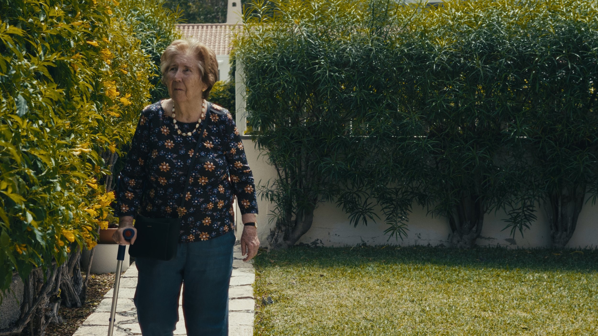 still abuela web_1.8.1.T.jpg
