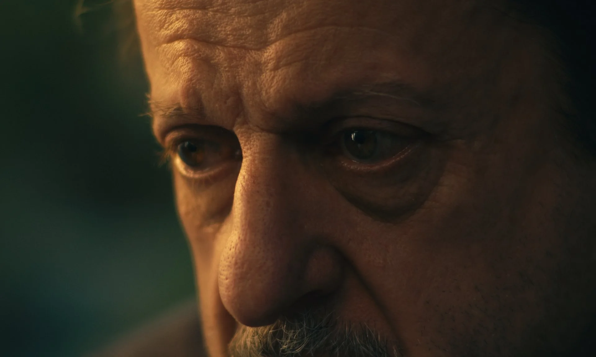 stills taqd web_1.4.1.jpg