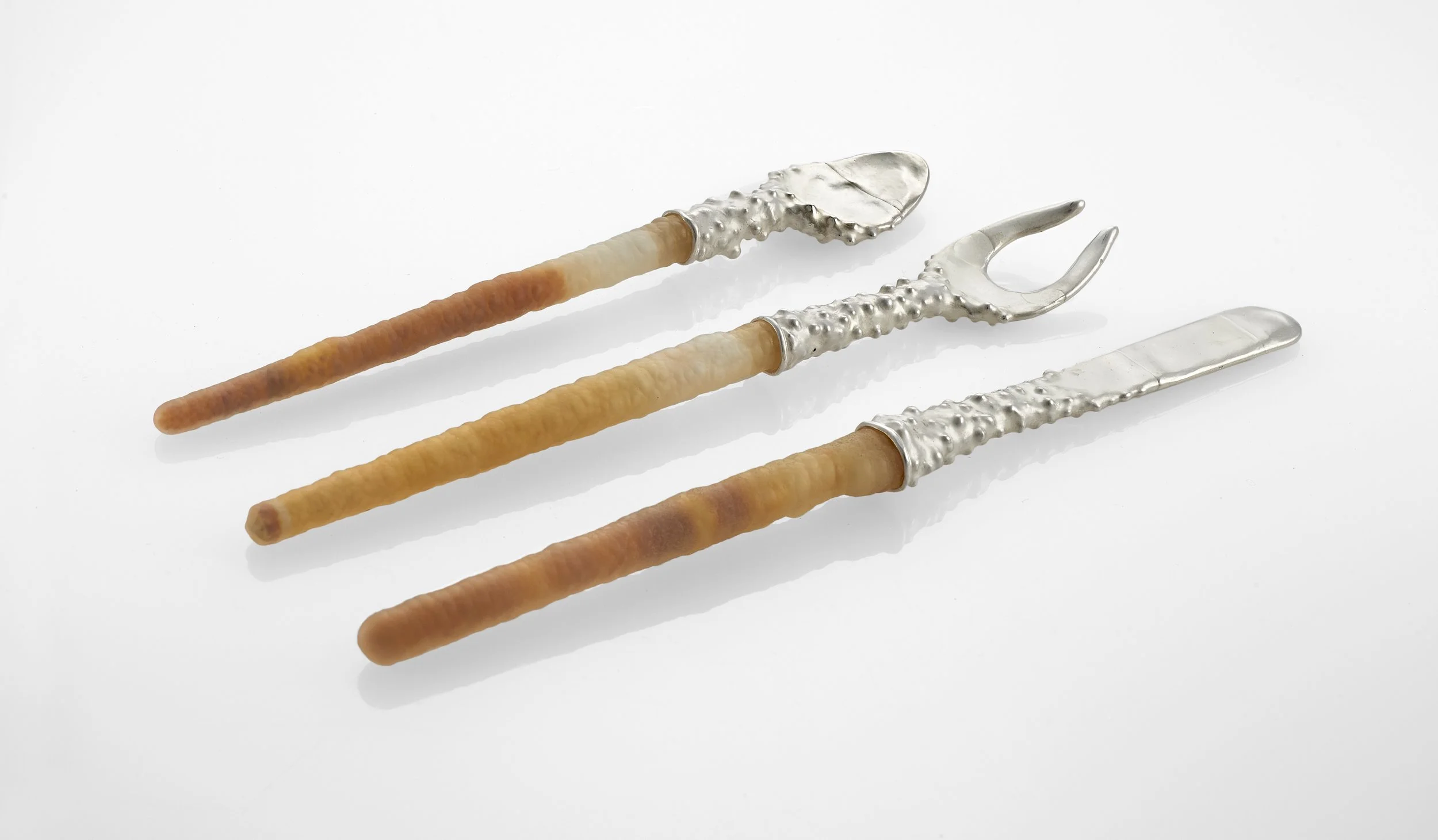 Capture01854 1 copy.jpg