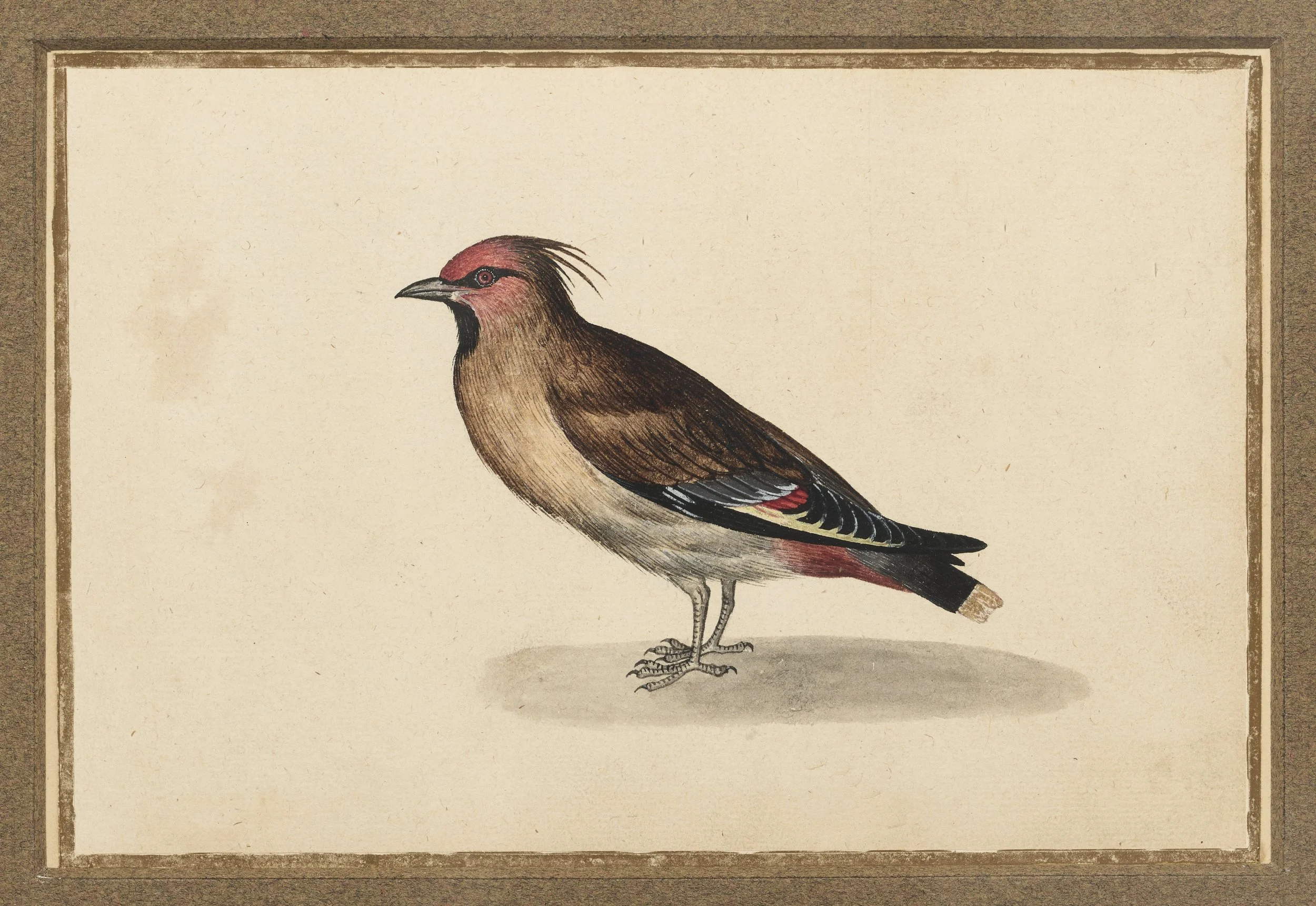 Untitled Session7560.jpg