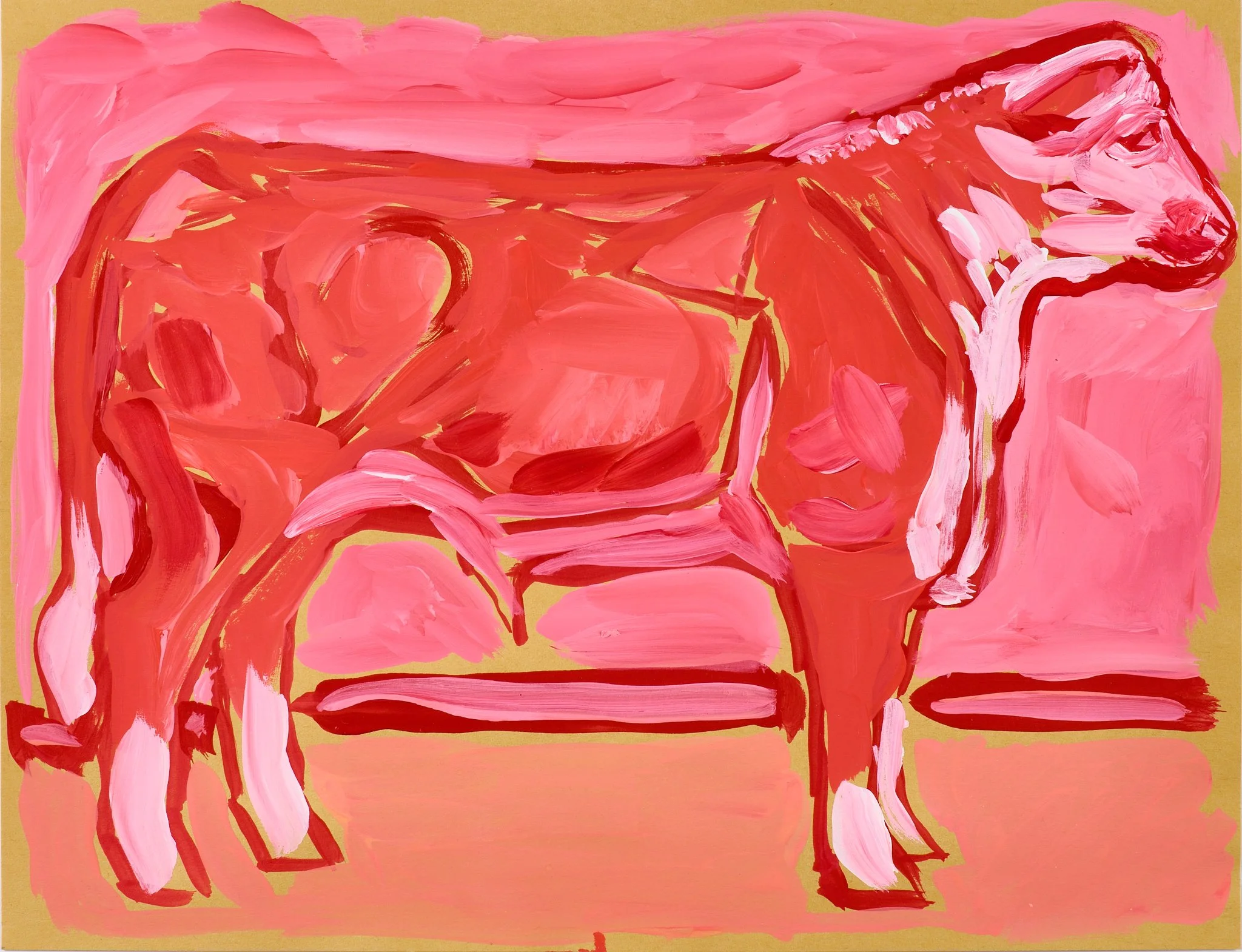 Pink Steer_web.jpg