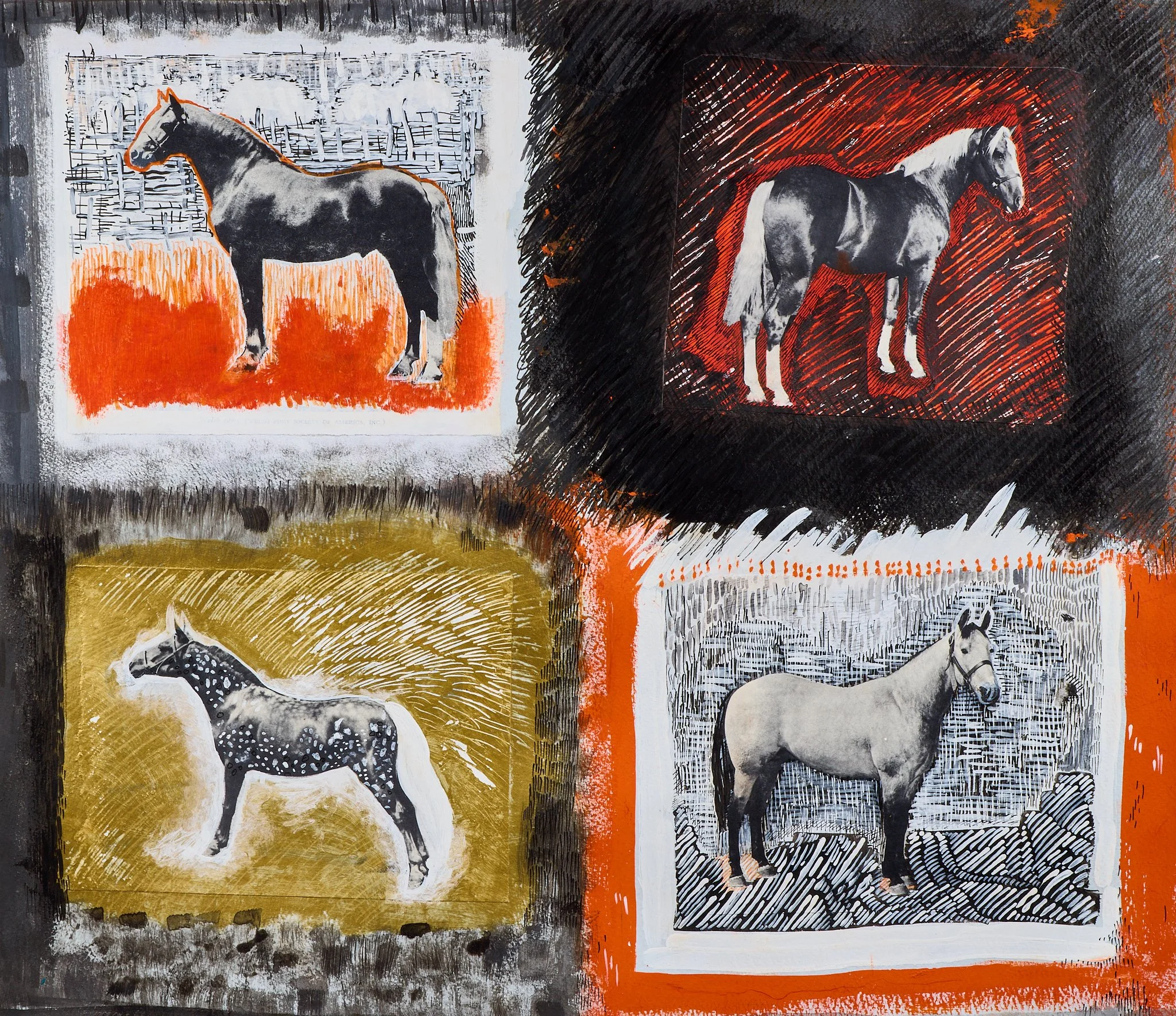 Quarter Horses_web.jpg