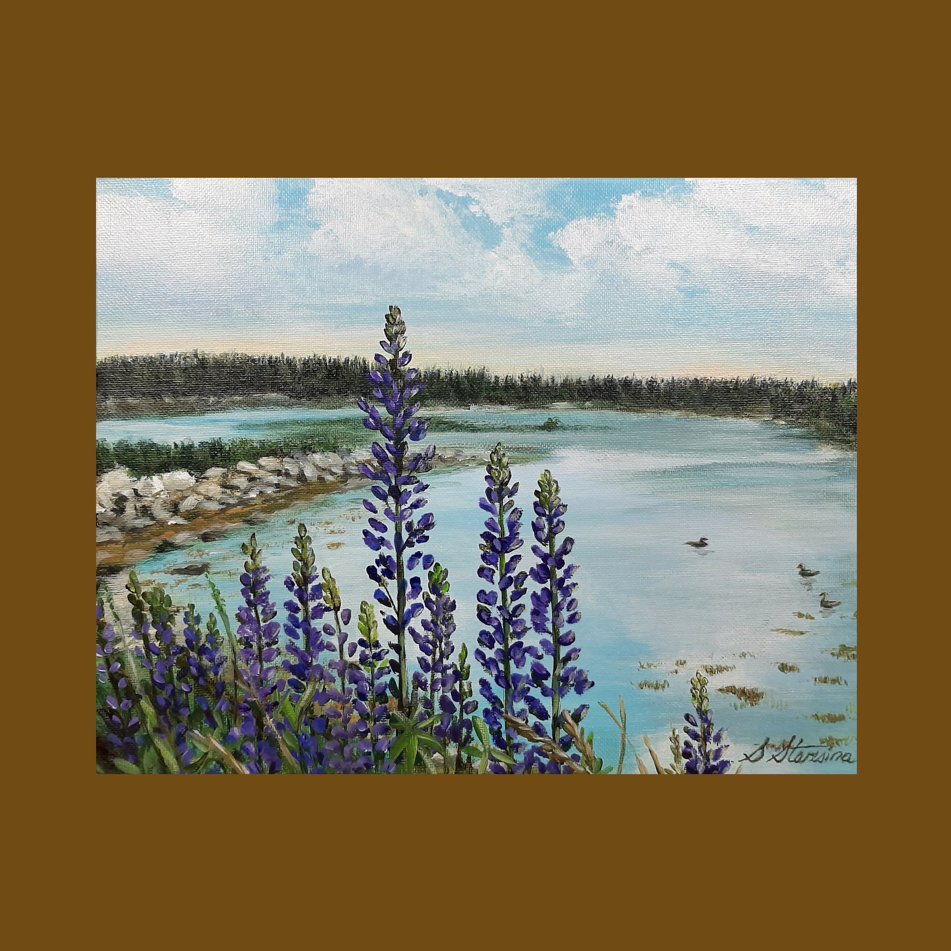 Lupins by the roadside - square.jpg