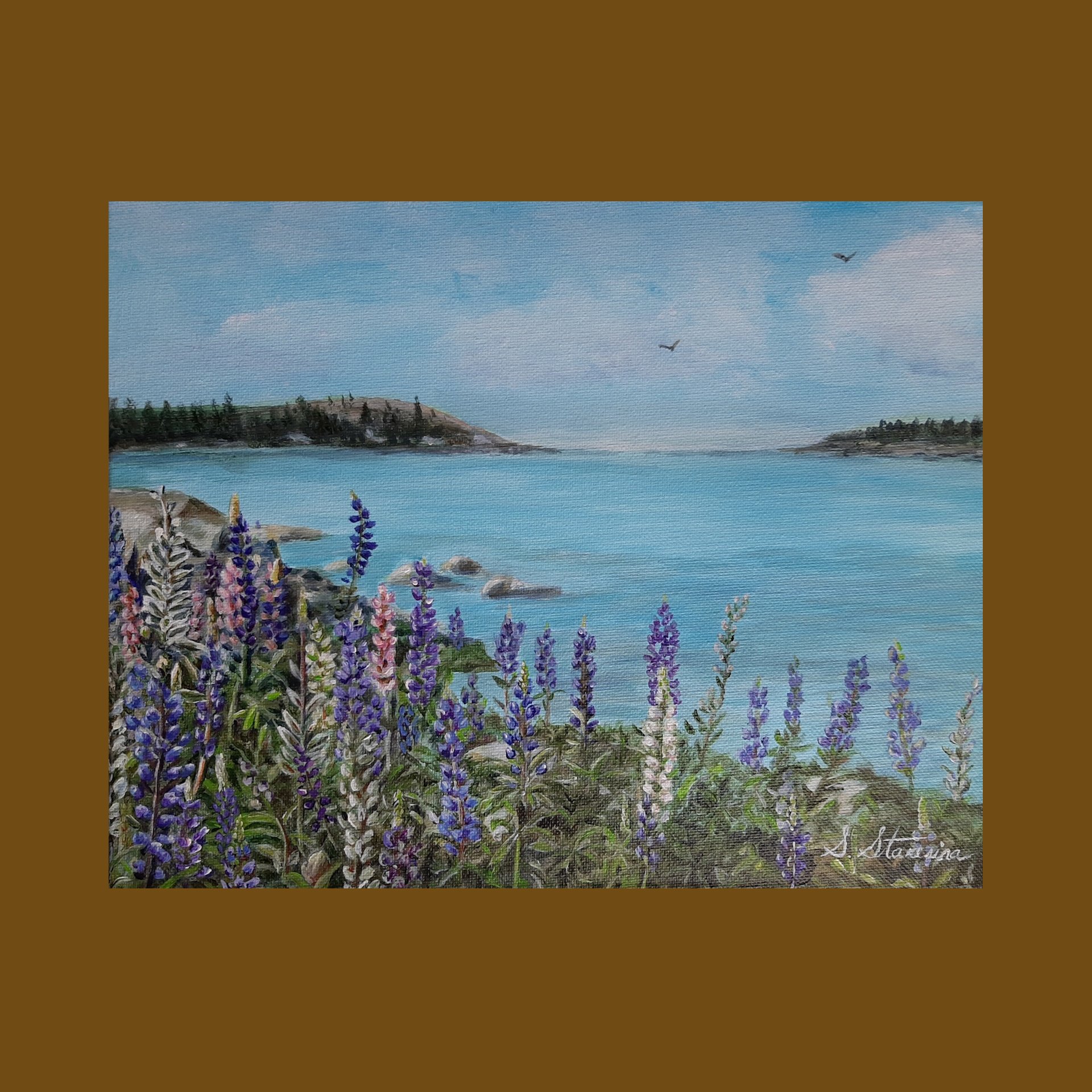 Lupins by the water - square.jpg