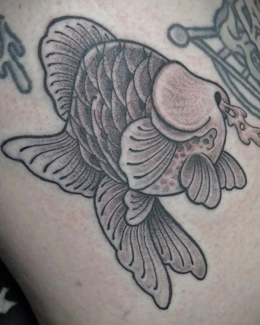 We live for your weird ideas and we&rsquo;ll happily customize every single one. 

And yes&hellip; Chad is officially back in the building and we couldn&rsquo;t be more excited to have him home again.

Comment &ldquo;custom&rdquo; if you&rsquo;ve bee